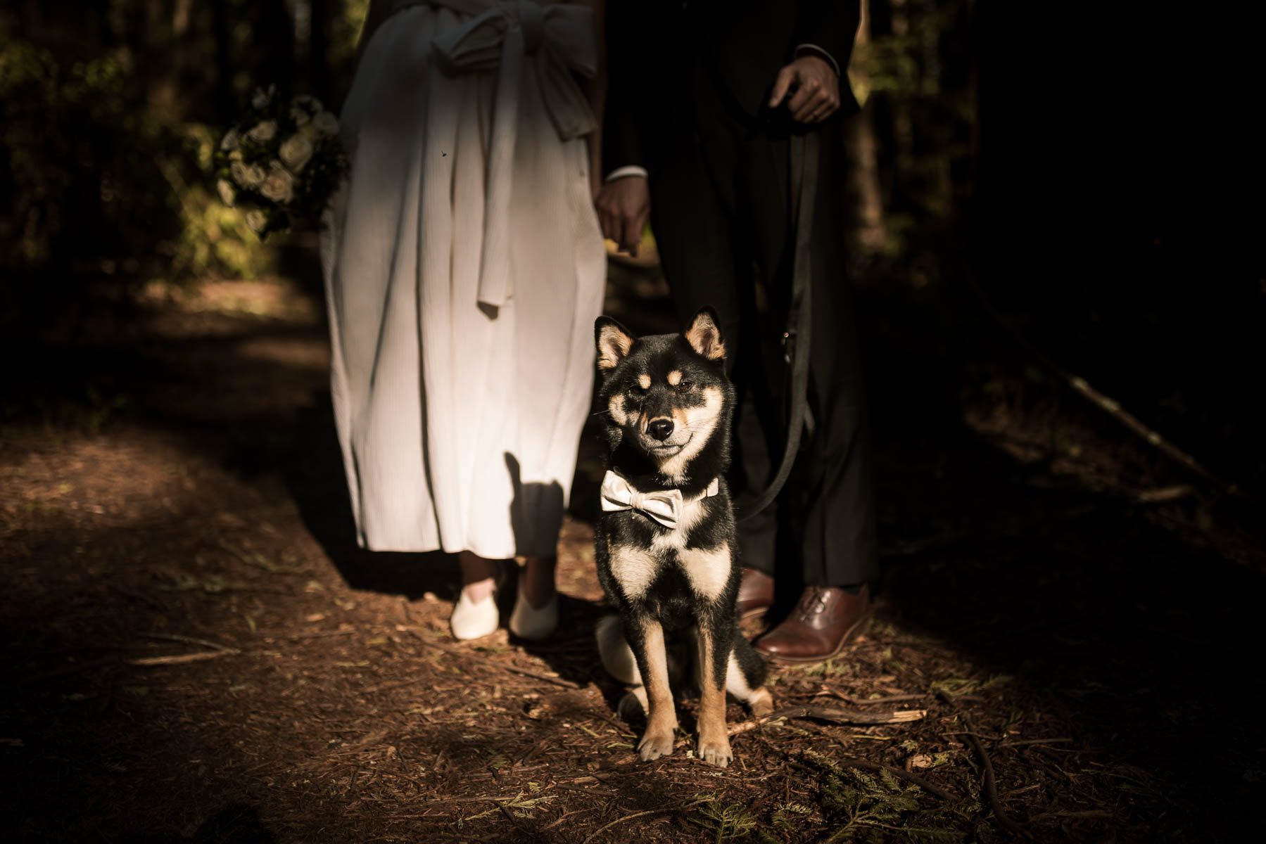 sf-city-hall-redwoods-elopement-shiba-61