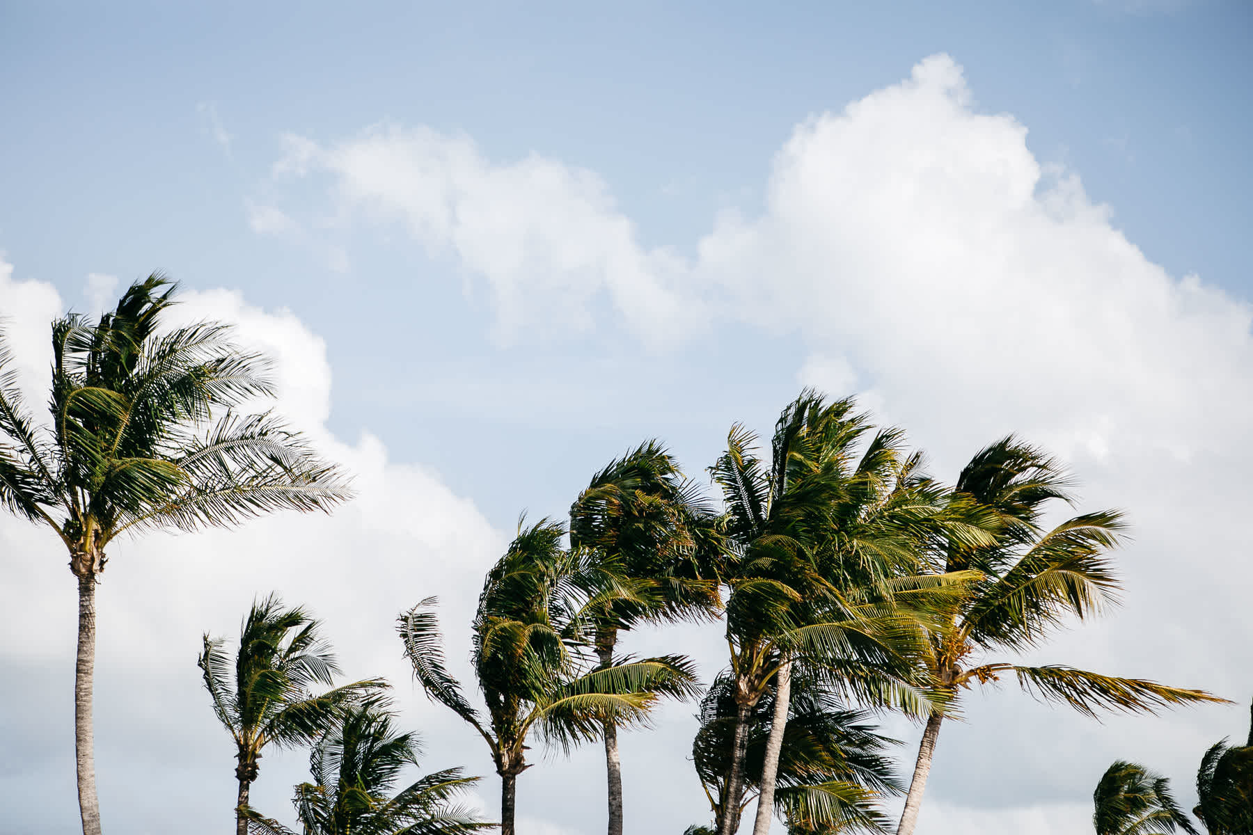 key-largo-ocean-reach-indian-fusion-wedding-180