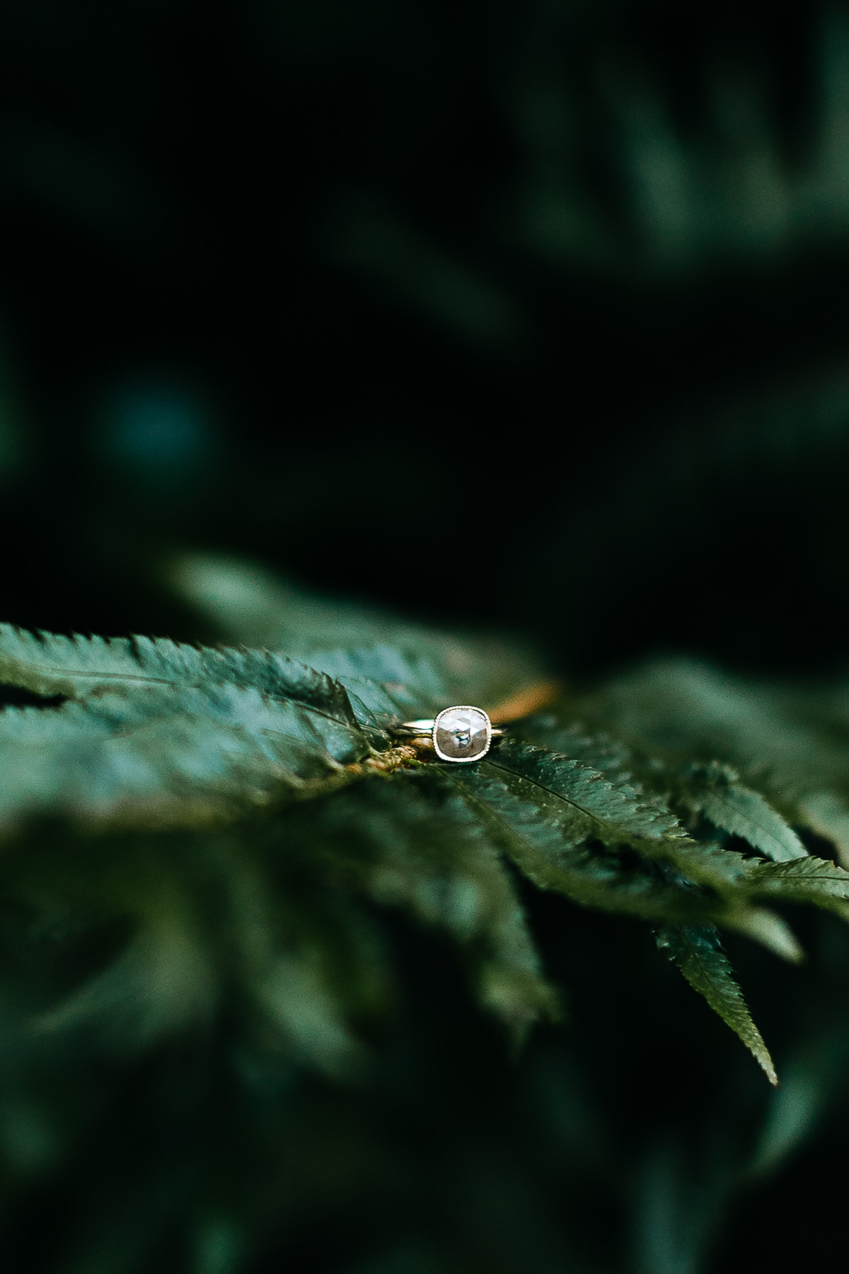 summer-san-francisco-lifestyle-coastal-engagement-session-21