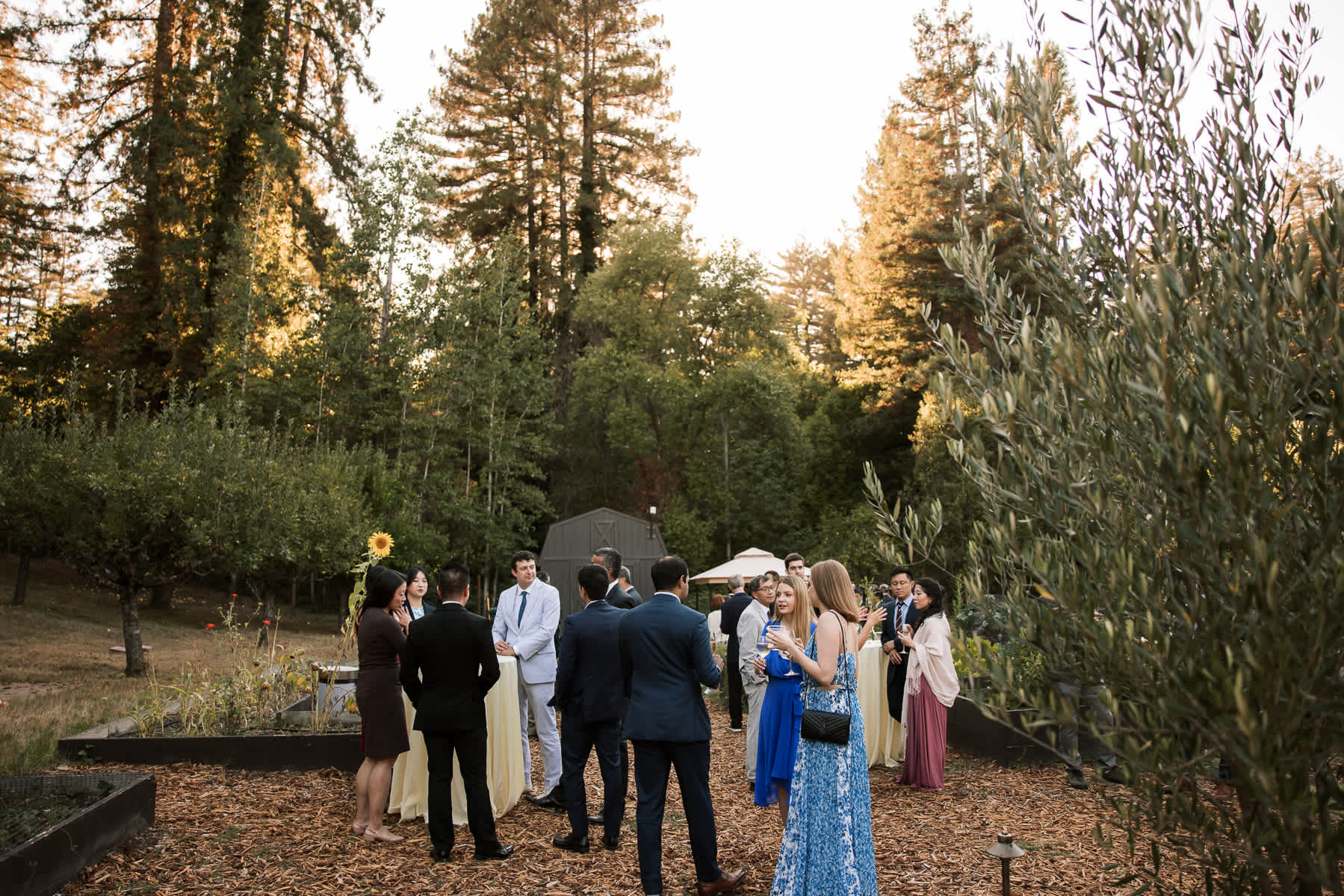 Stavrand-Russian-River-intimate-fall-wedding-94