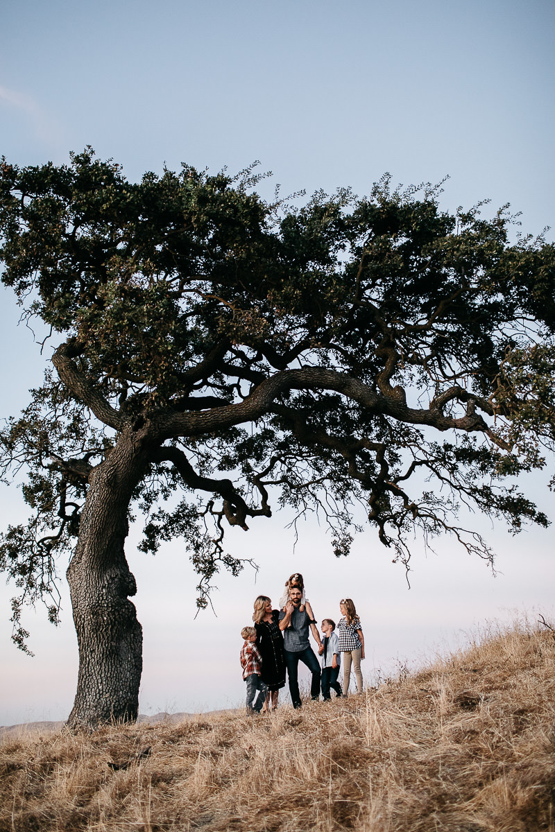 concord-golden-hill-california-fall-lifestyle-session-29