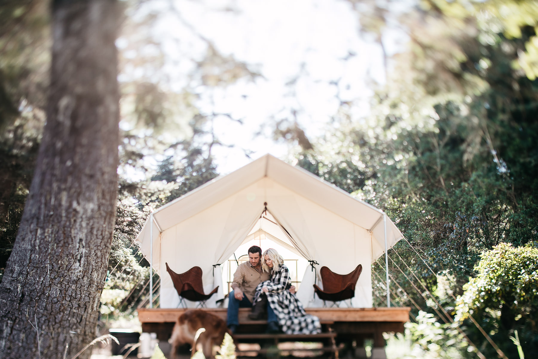mendocino-grove-ca-glamping-waterside-anniversary-session-golden-retriever-9