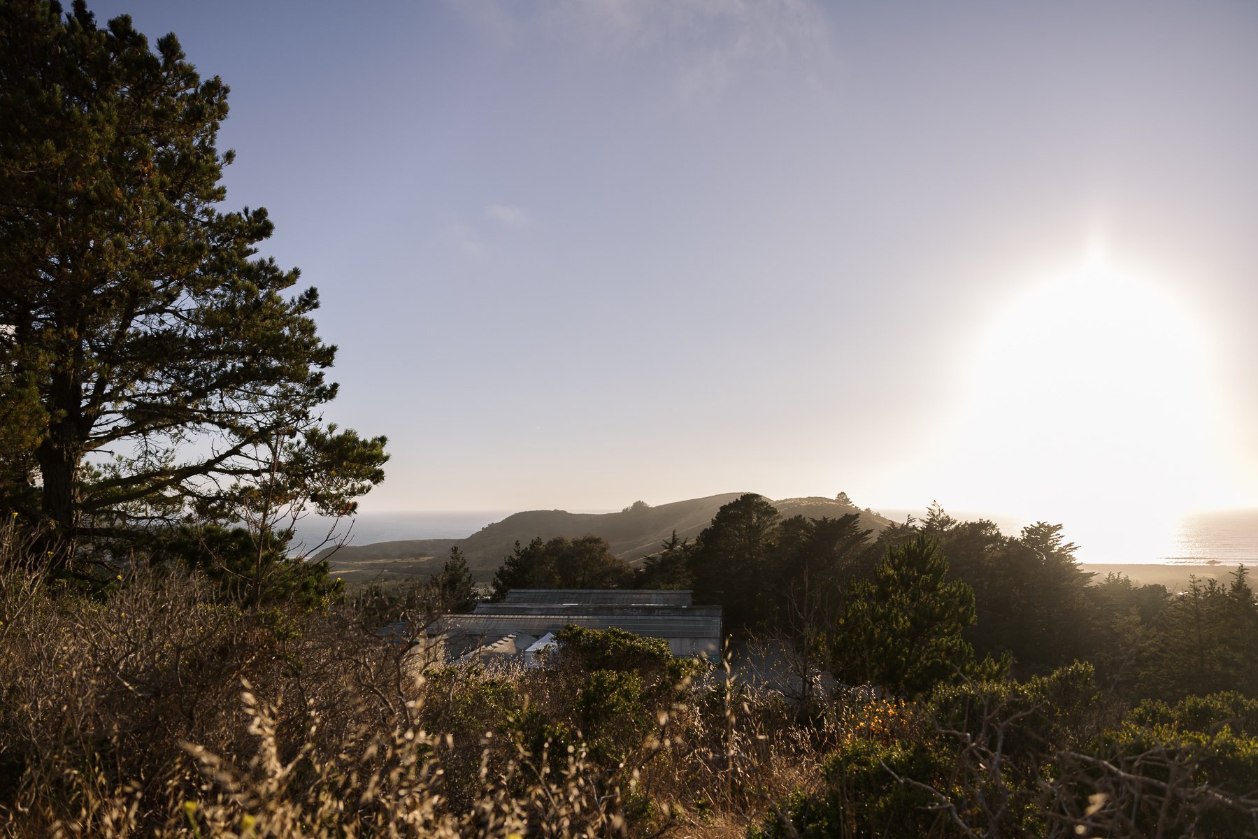 Pacifica-shelldance-orchid-gardens-summer-wedding-161