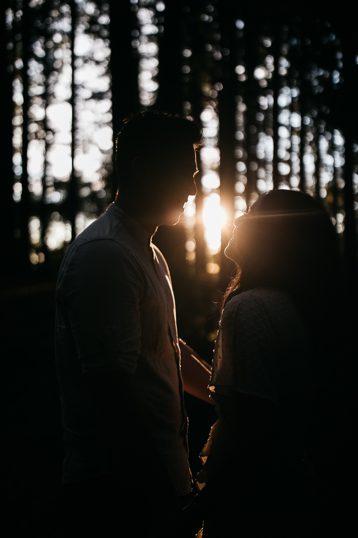 oakland-redwoods-fall-golden-light-engagement-session-20
