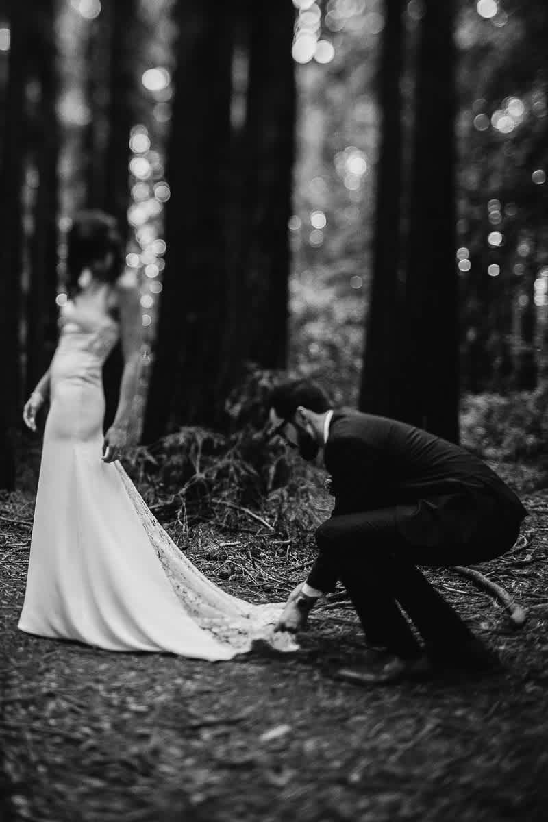 oakland-redwoods-summer-wedding-80