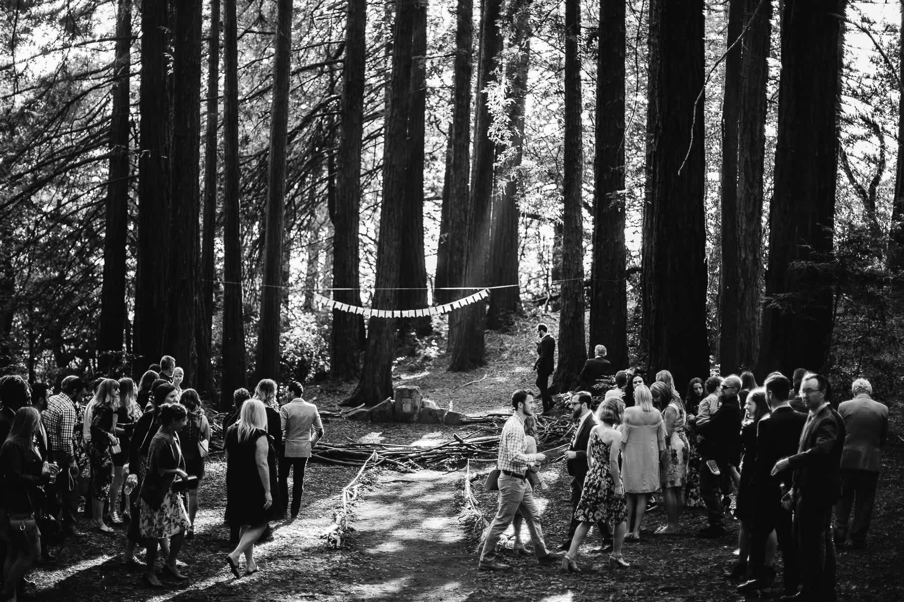 oakland-redwoods-summer-wedding-36