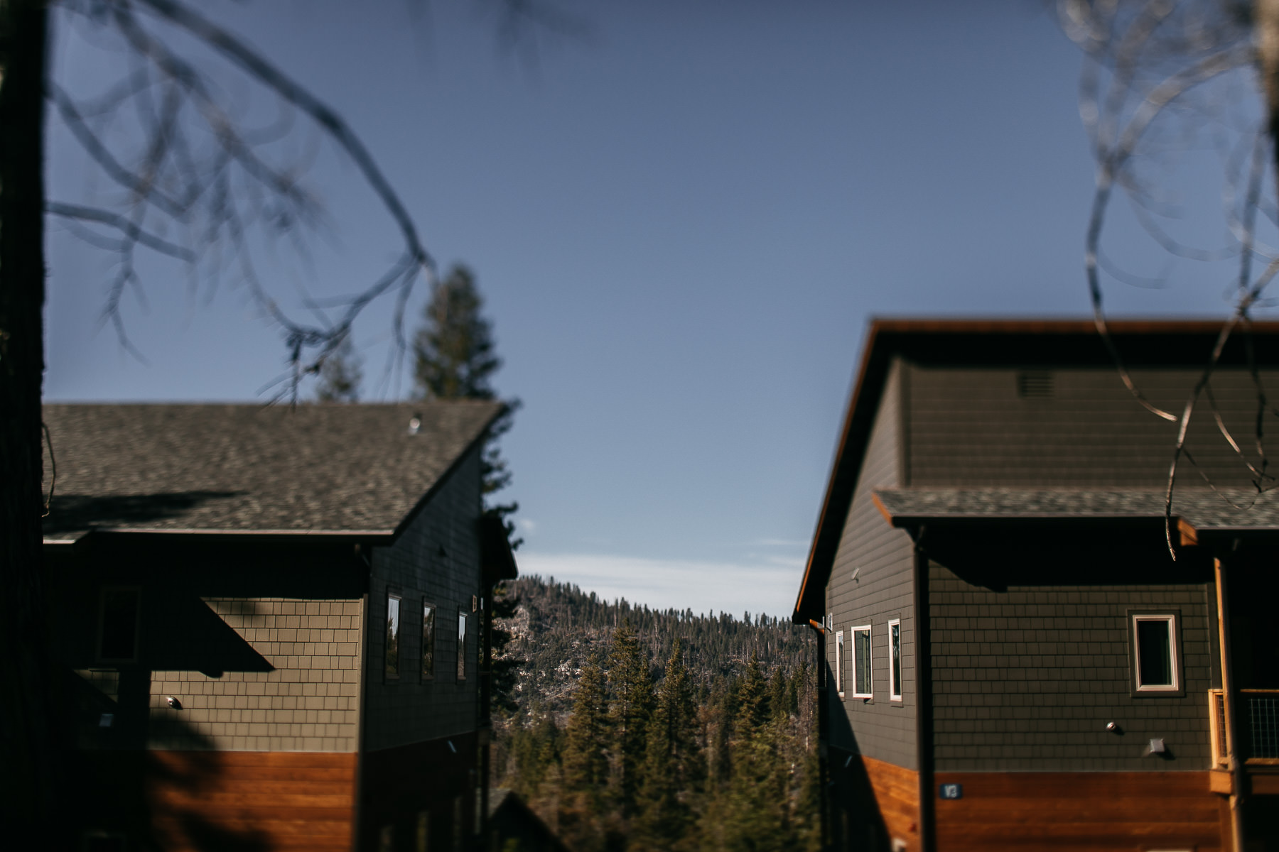 yosemite-rush-creek-fall-wedding-goldendoodle-1