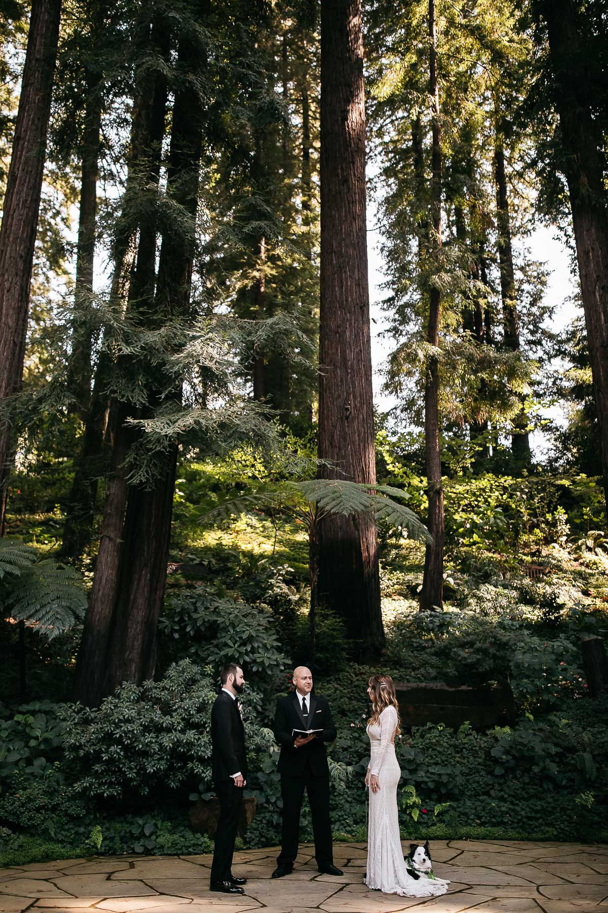 nestldown-micro-wedding-elopement-santa-cruz-sunset-52