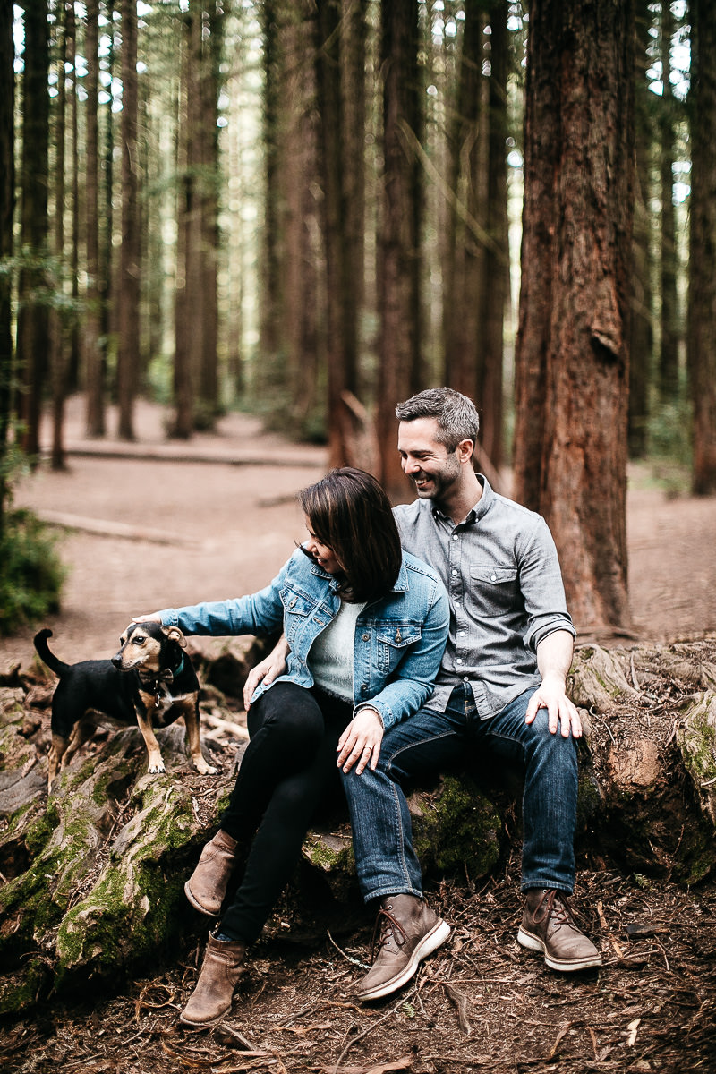 oakland-gloomy-redwood-engagement-session-with-puppy-19