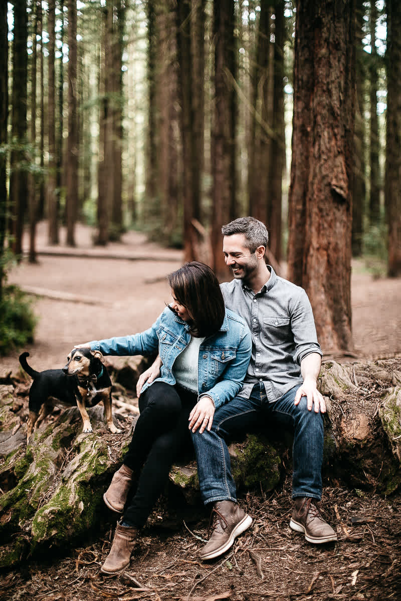 oakland-gloomy-redwood-engagement-session-with-puppy-19