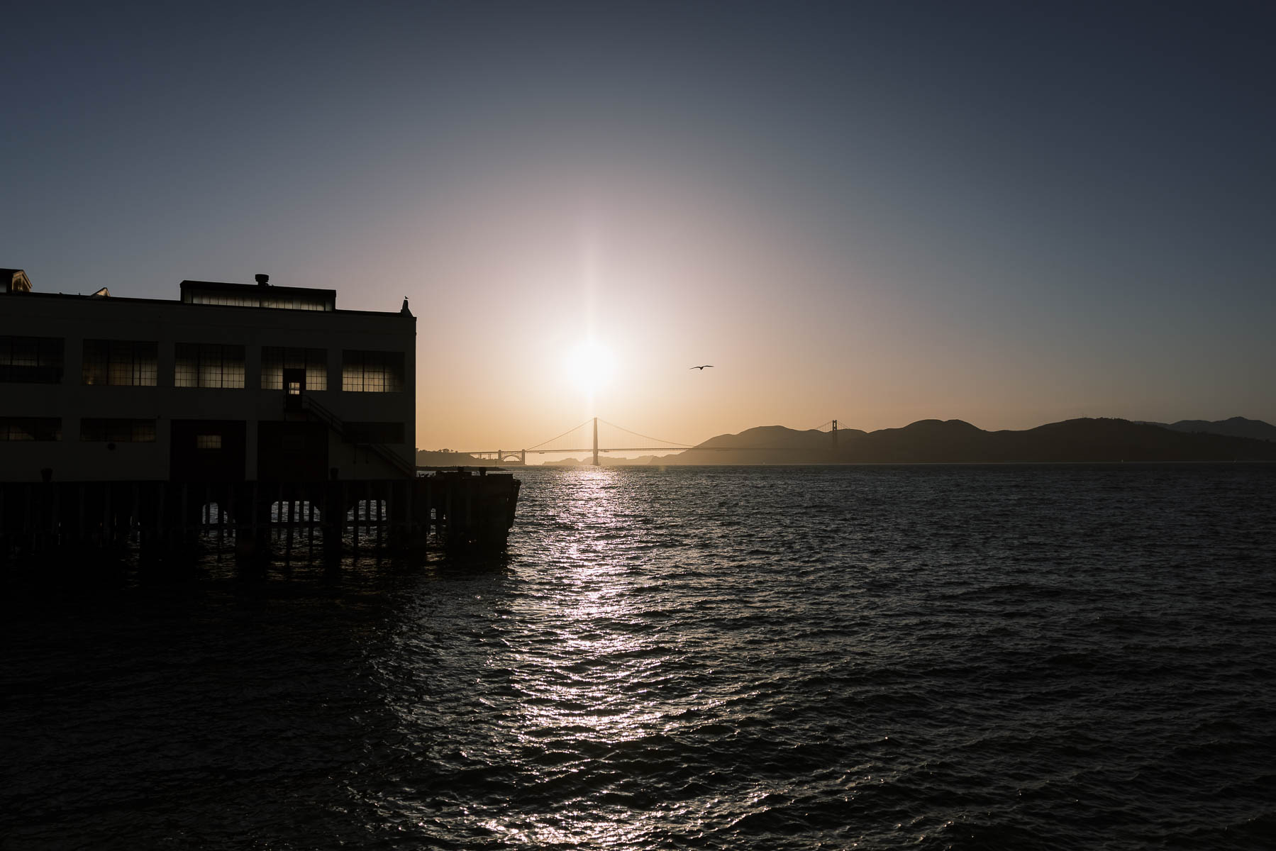 San-Francisco-Gallery-308-disco-balls-graphic-designer-wedding-140