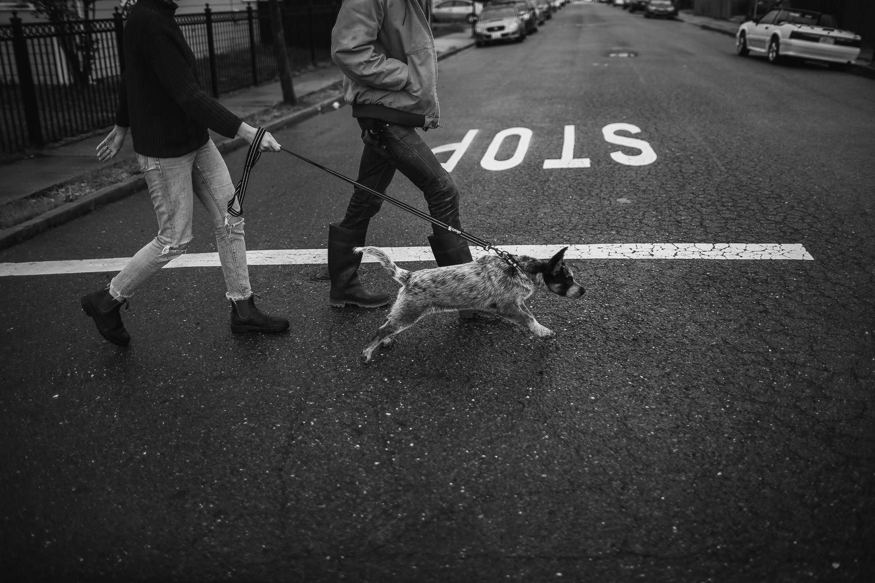 richmond-ca-family-session-cattledog-neighborhood-3