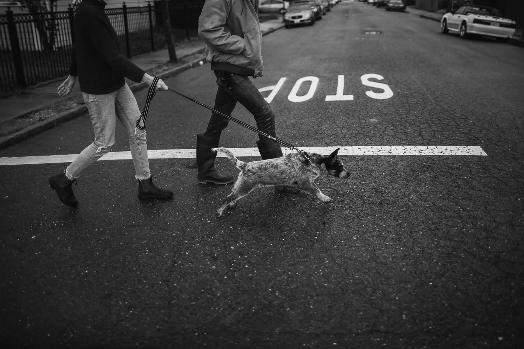 richmond-ca-family-session-cattledog-neighborhood-3