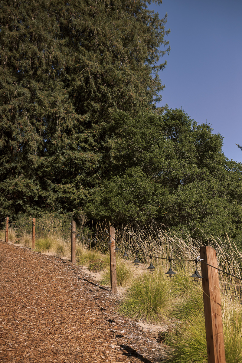 Stavrand-Russian-River-intimate-fall-wedding-41