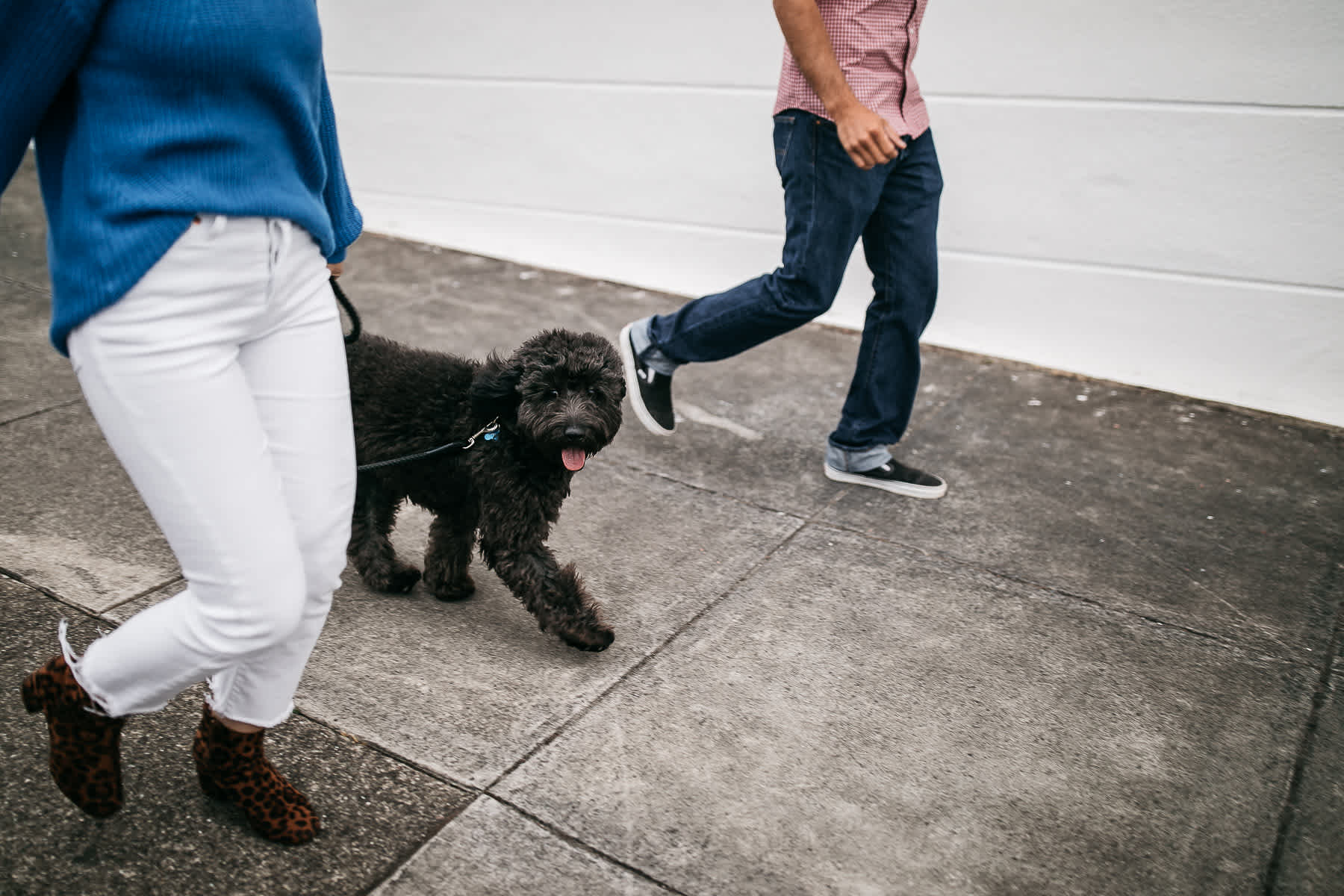 san-francisco-flora-grubb-gardens-engagement-city-foggy-session-61