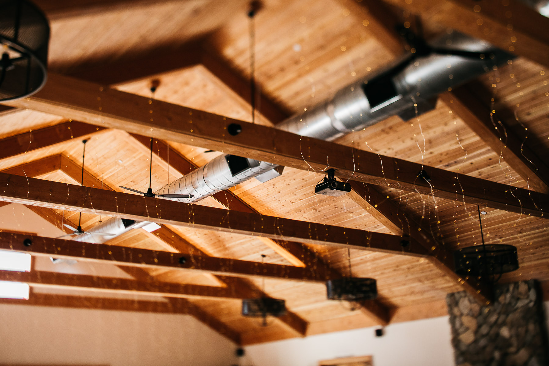 yosemite-rush-creek-fall-wedding-goldendoodle-96