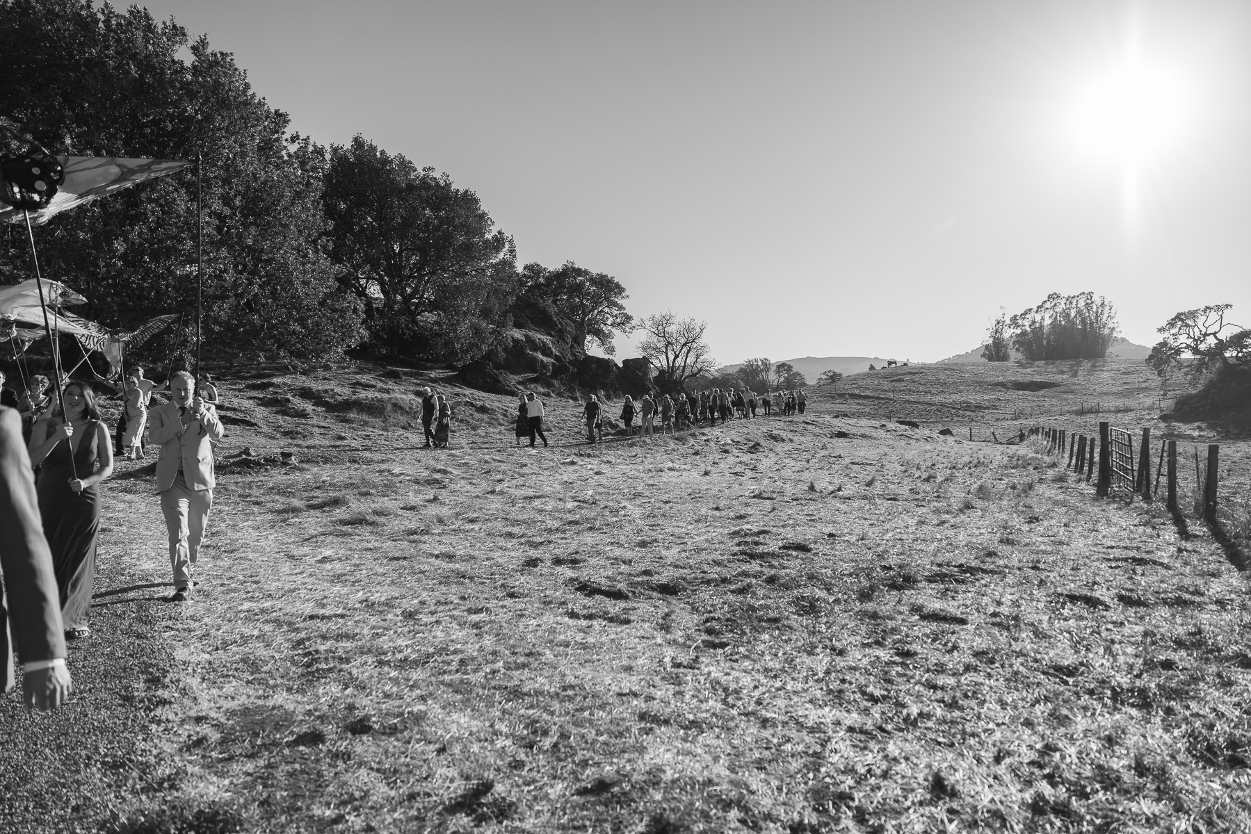 Monkey-ranch-petaluma-golden-hills-wedding-86