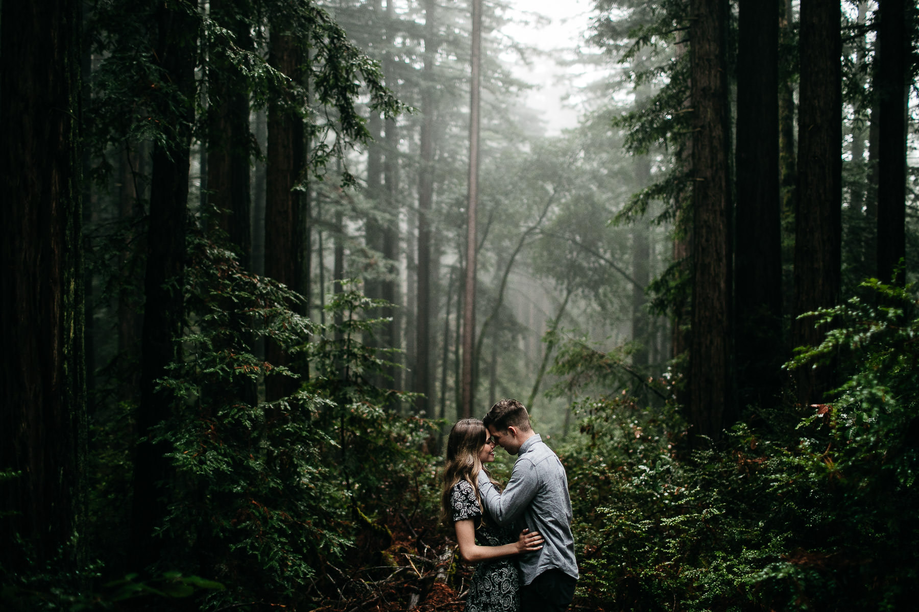 mt-tam-california-foggy-fall-engagement-hills-redwood-engagement-session-17
