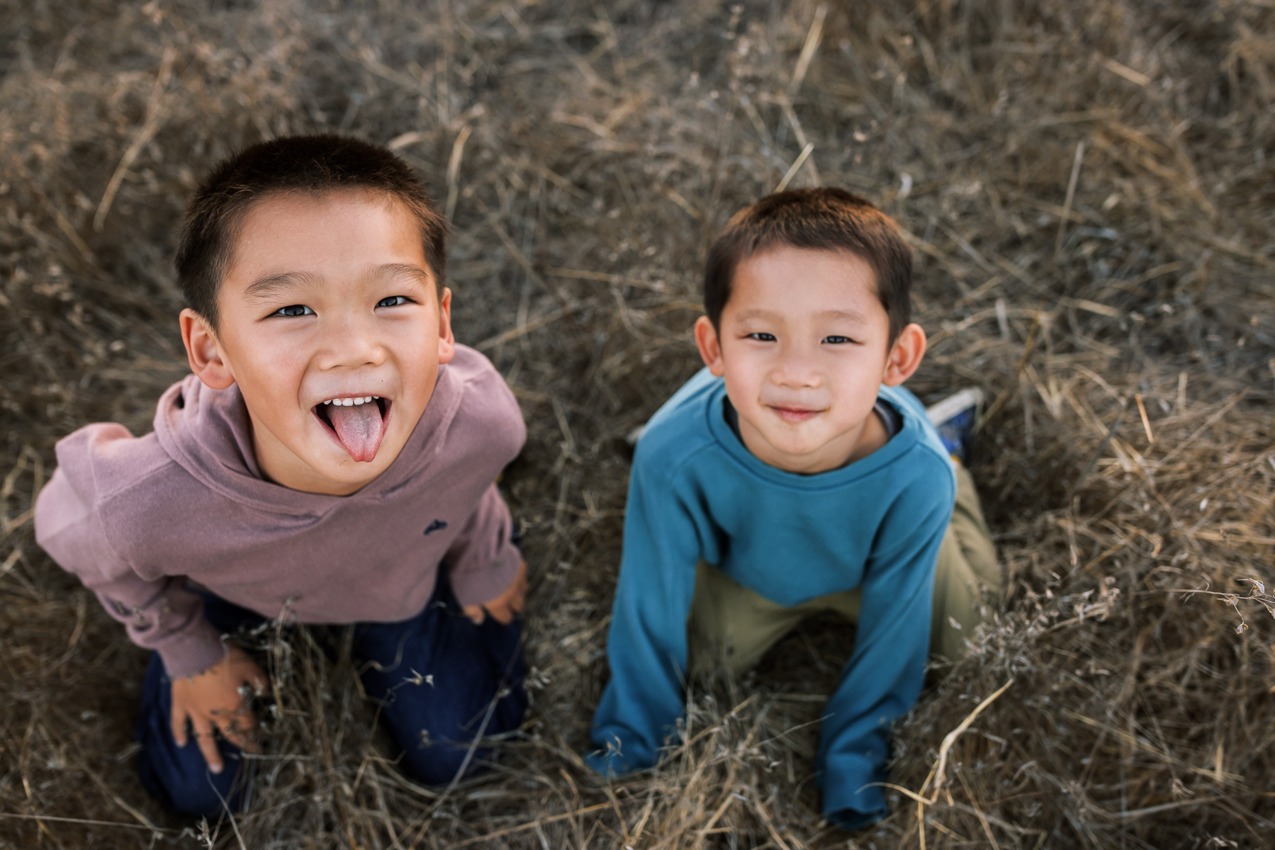 golden-hills-south-bay-family-session-45