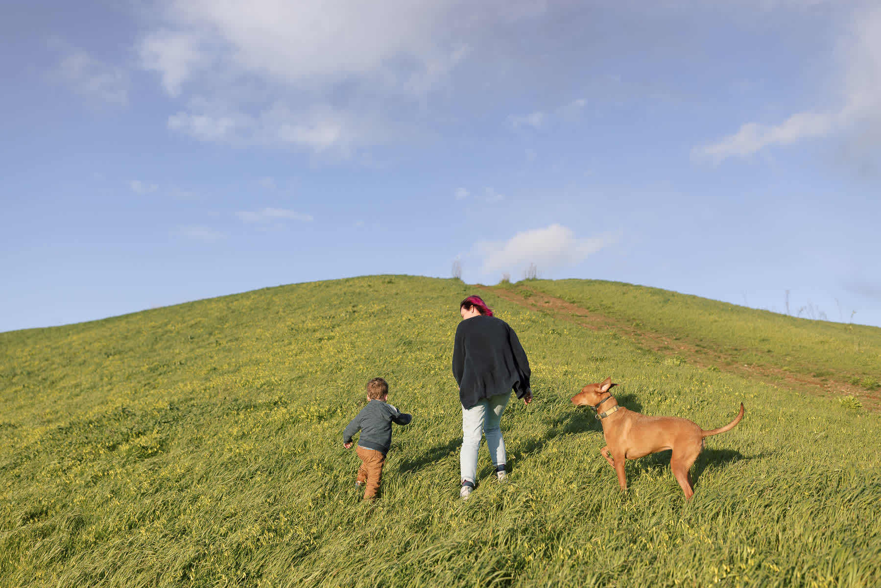 oakland-green-hills-winter-family-lifestyle-session-27
