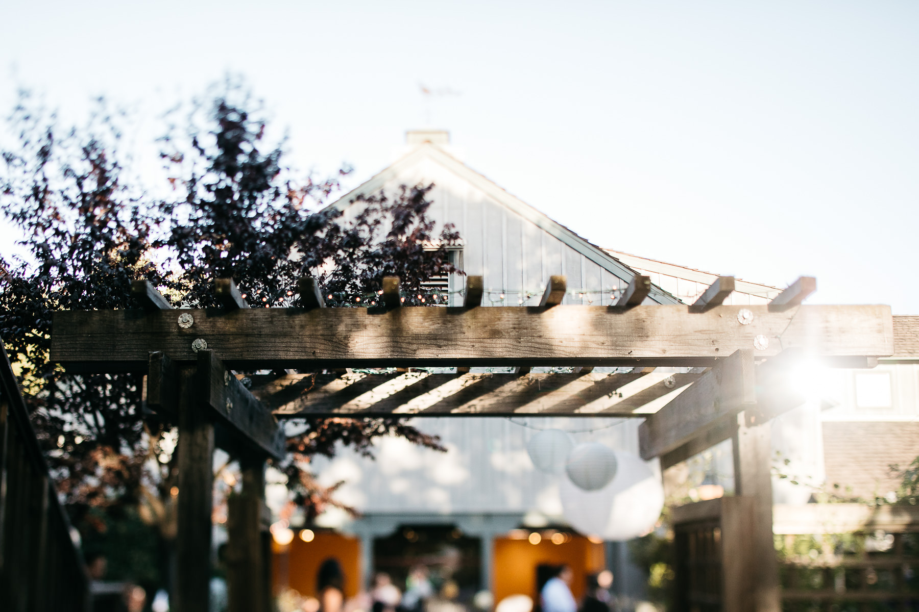 mountain-view-ca-catholic-church-wedding-los-altos-reception-95