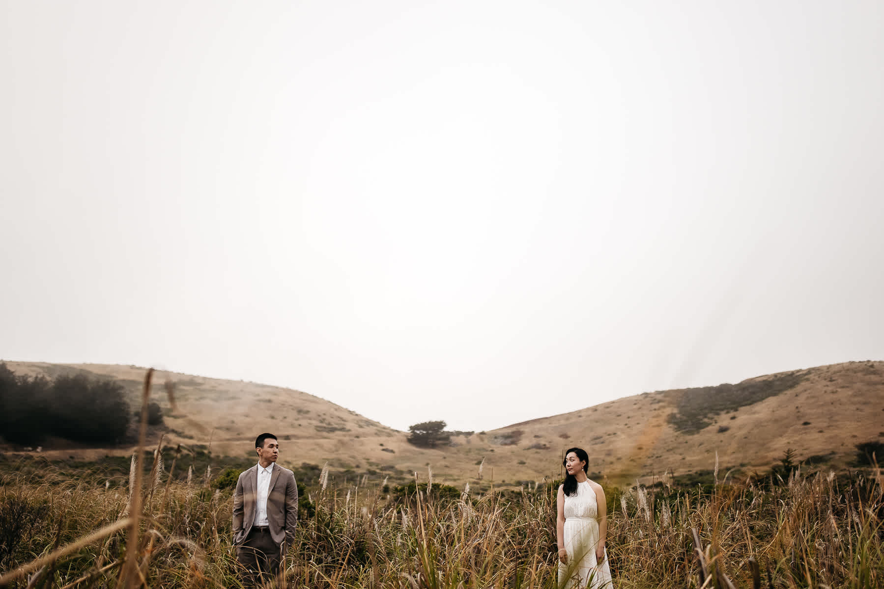 redwoods-coastal-pampas-grass-lifestyle-engagement-session-with-pups-37