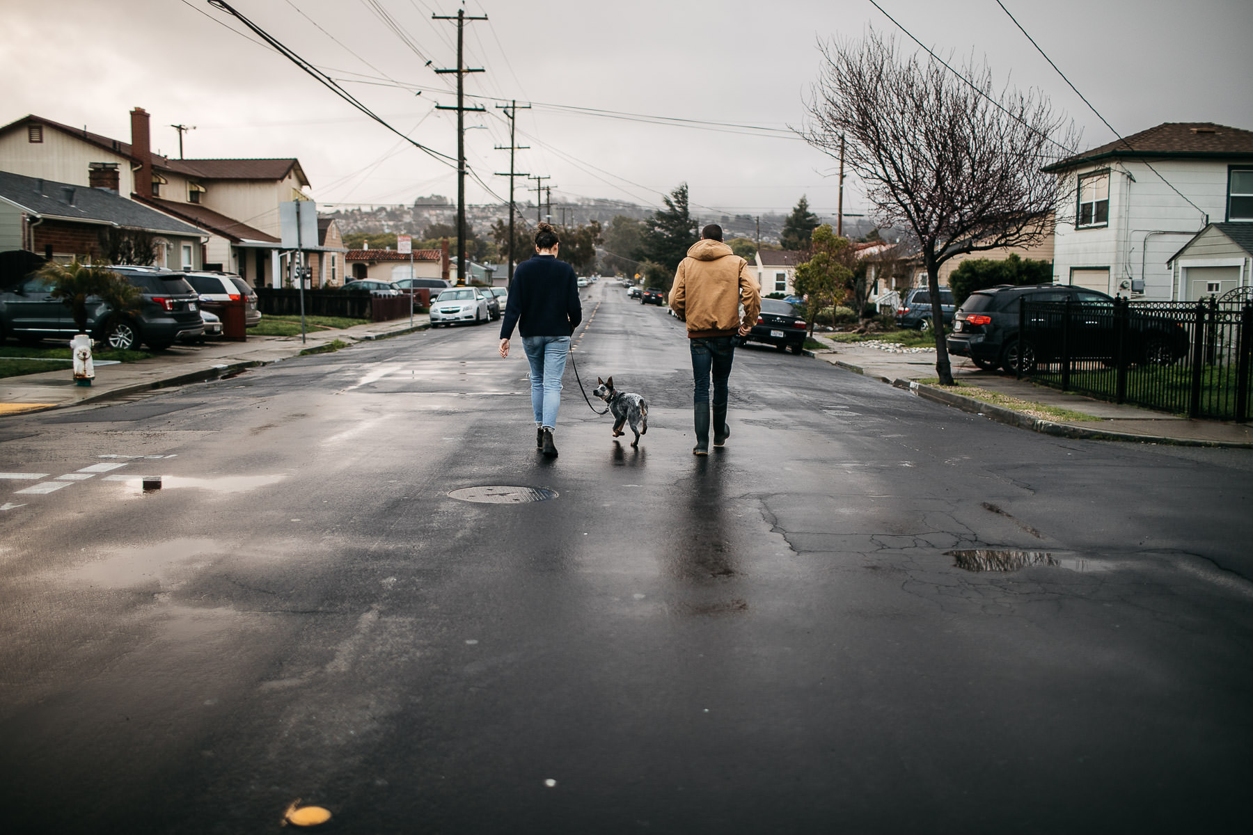 richmond-ca-family-session-cattledog-neighborhood-2