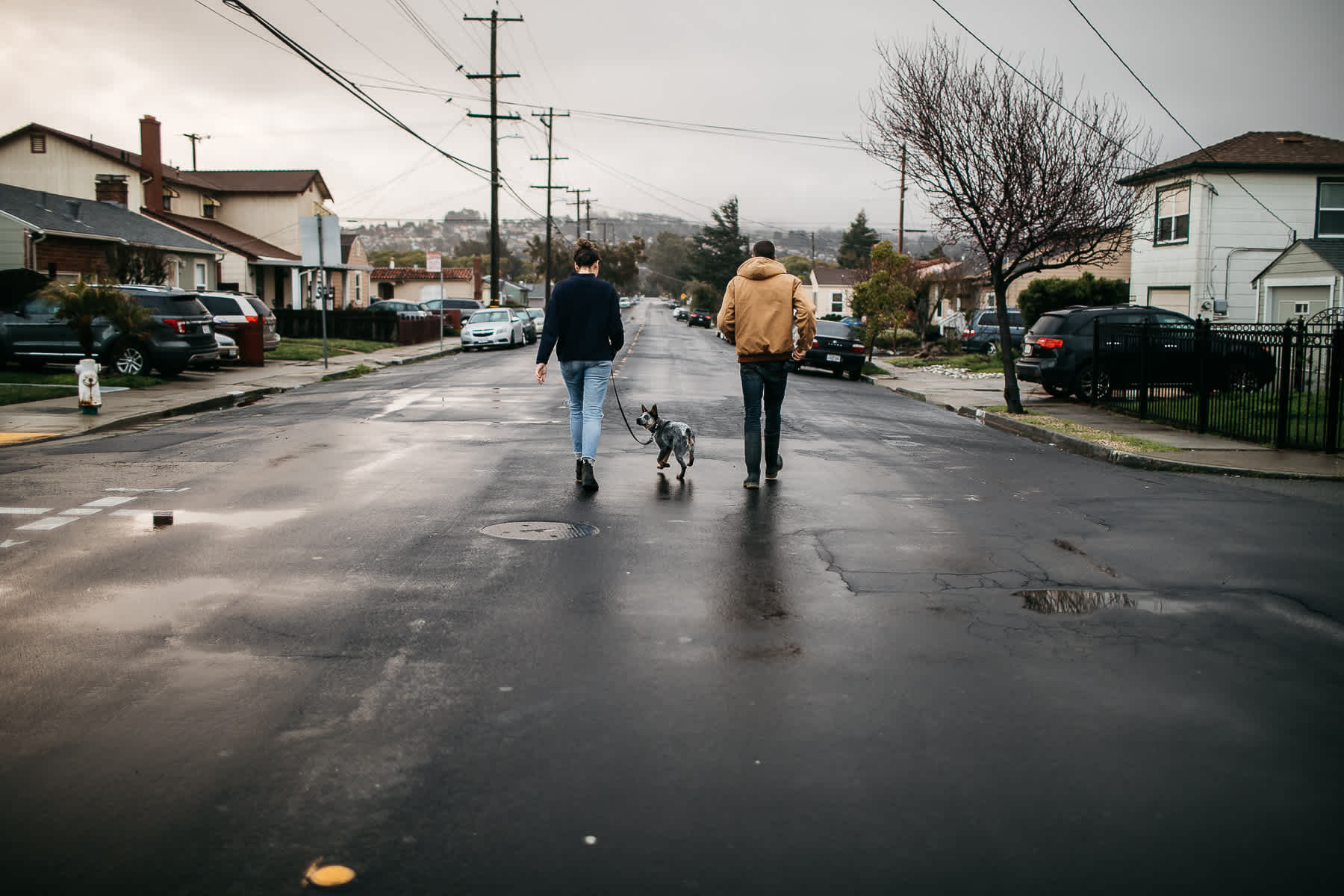 richmond-ca-family-session-cattledog-neighborhood-2