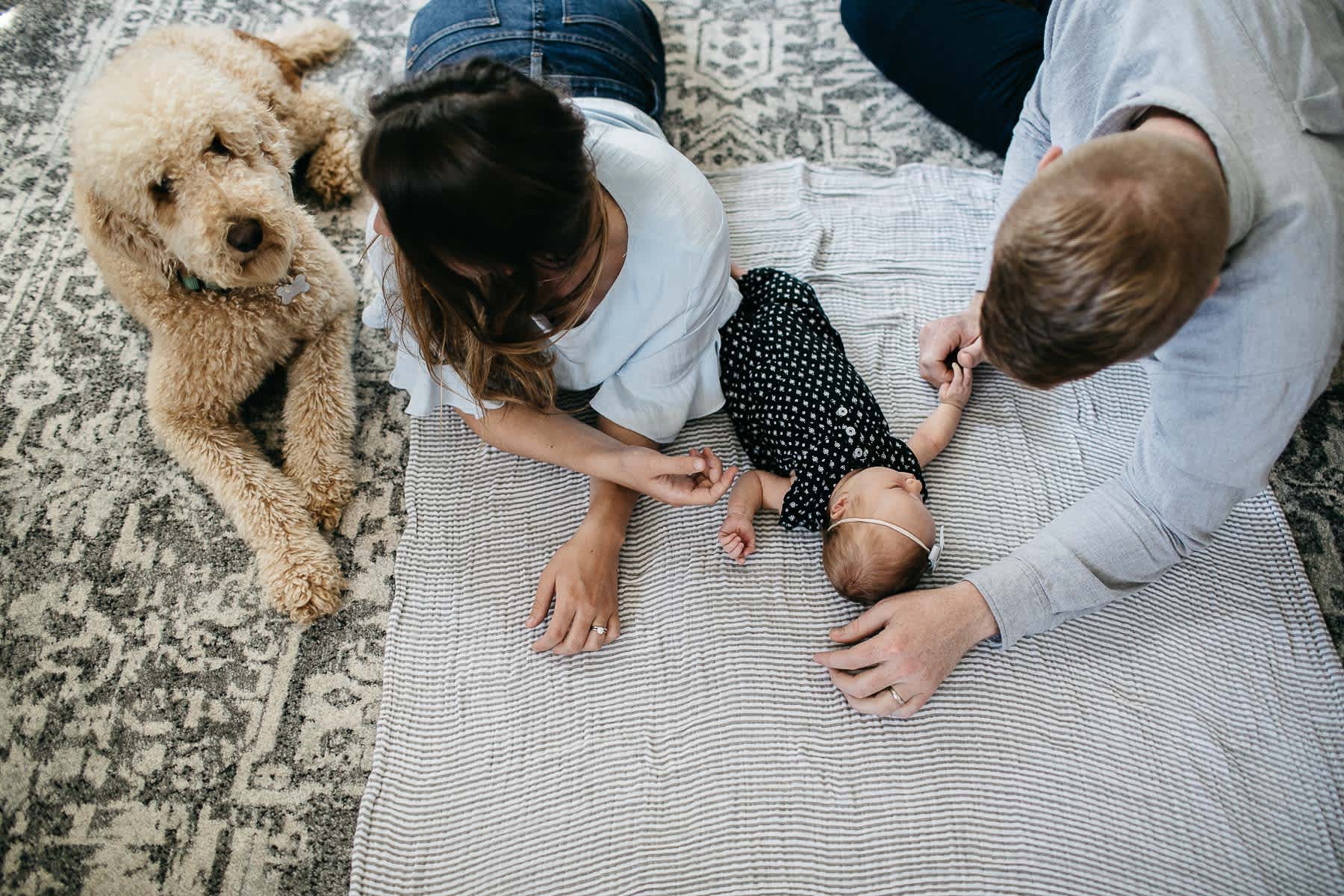 san-francisco-lifestyle-in-home-newborn-with-dog-30