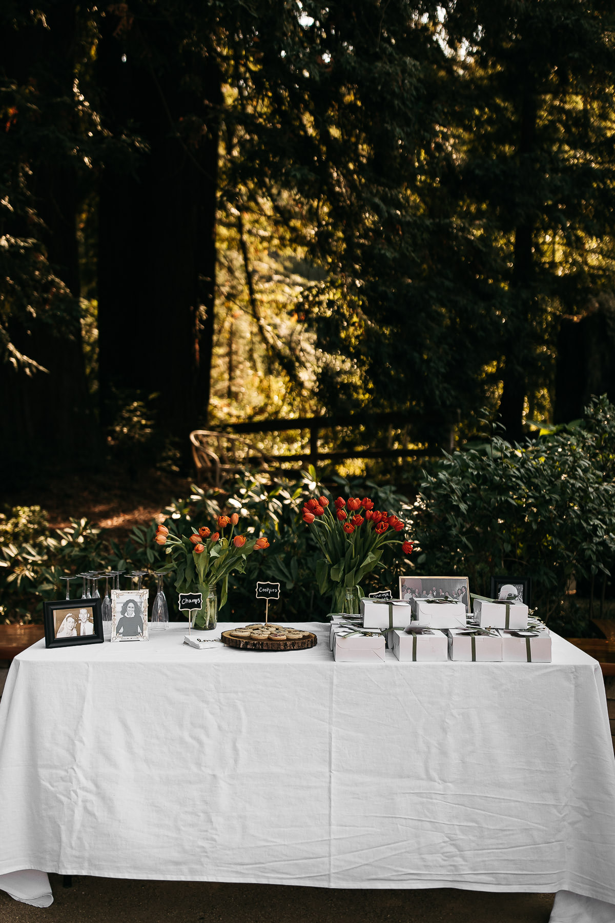 nestldown-micro-wedding-elopement-santa-cruz-sunset-82