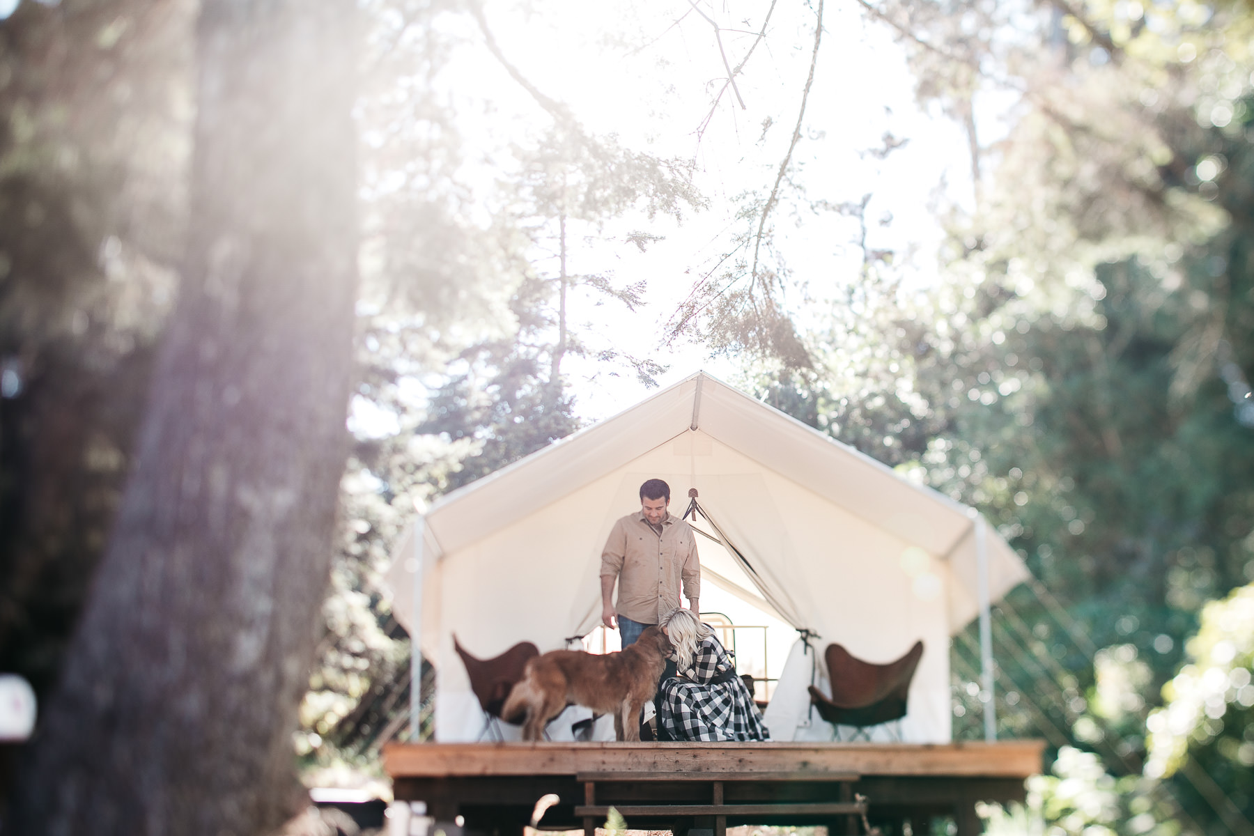 mendocino-grove-ca-glamping-waterside-anniversary-session-golden-retriever-5