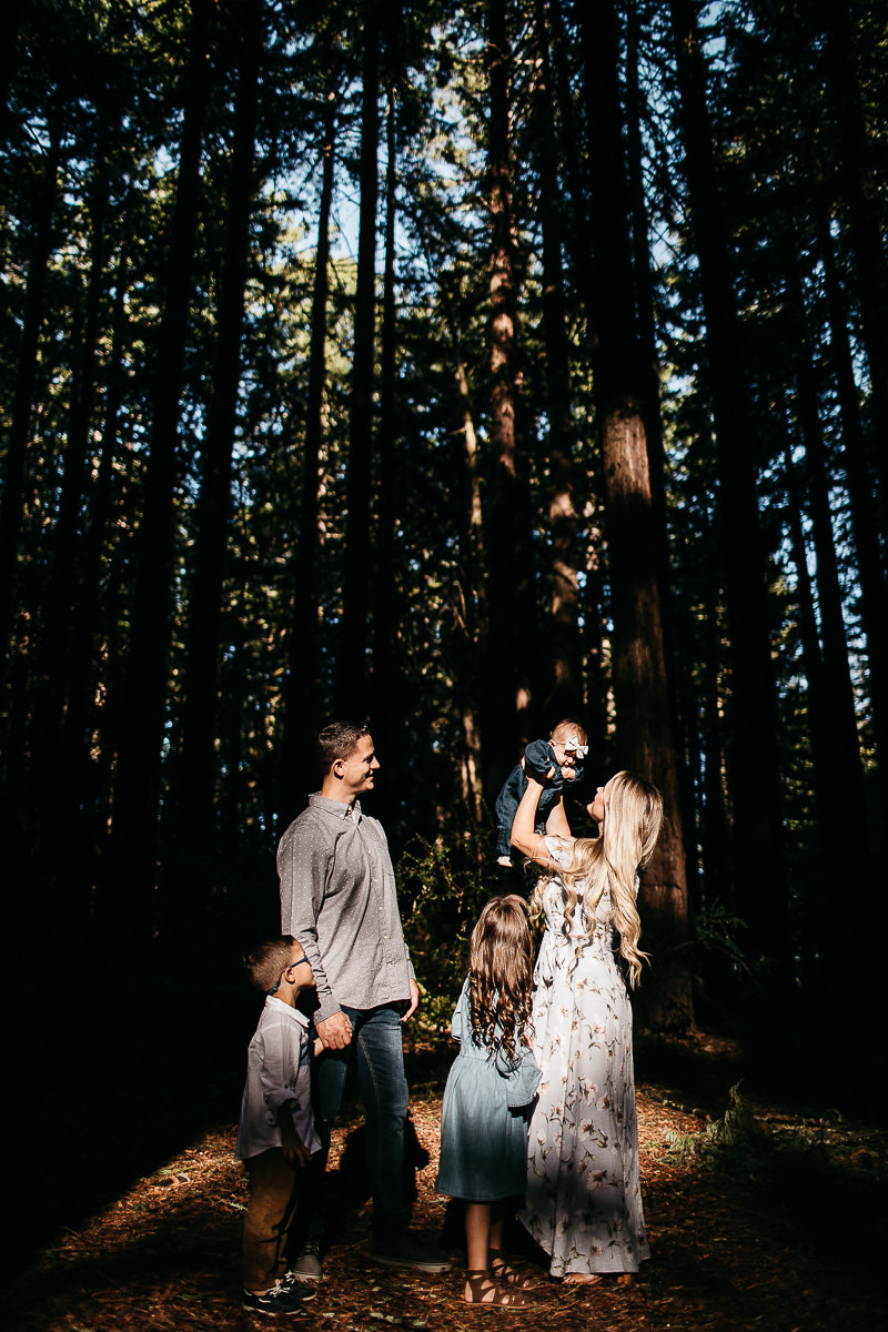 oakland-redwoods-morning-light-joaquin-miller-park-lifestyle-session-25