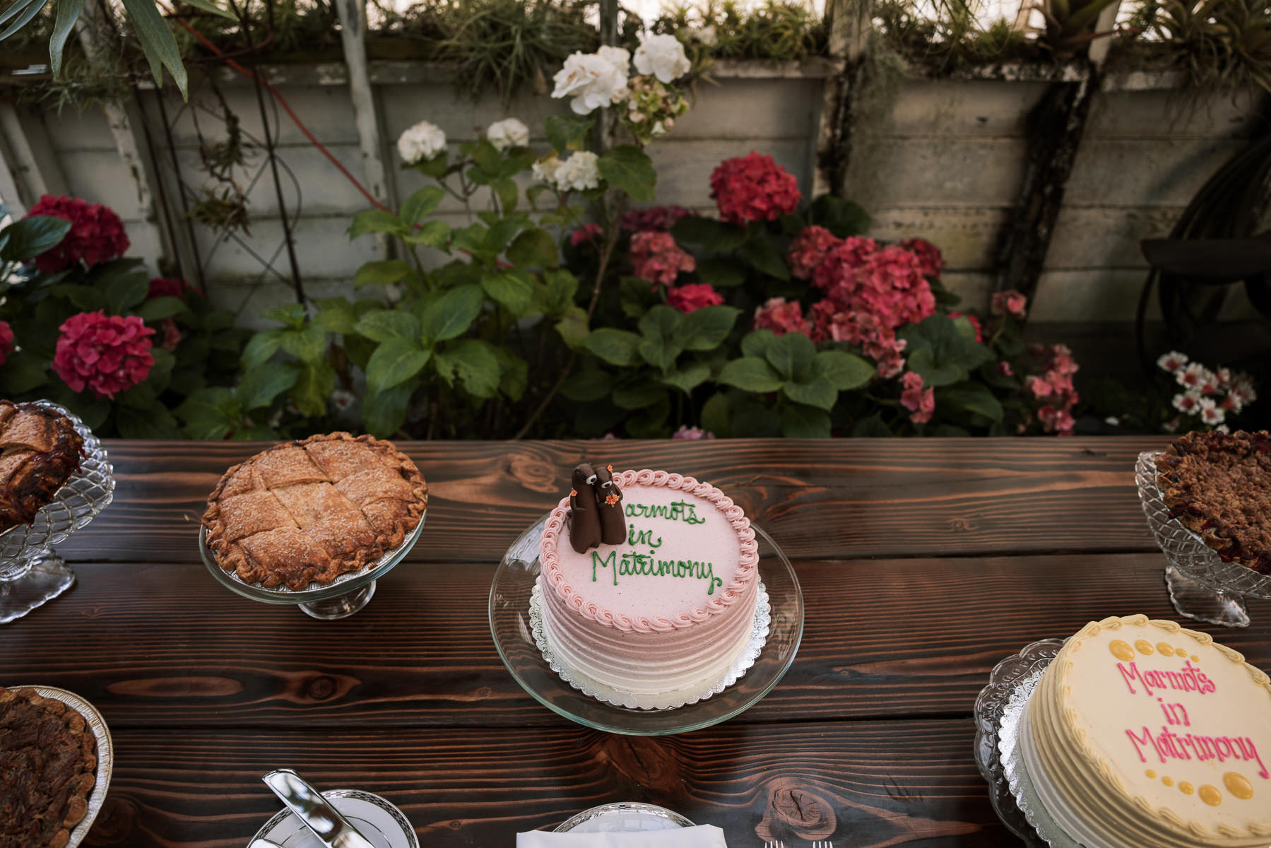 Pacifica-shelldance-orchid-gardens-summer-wedding-155