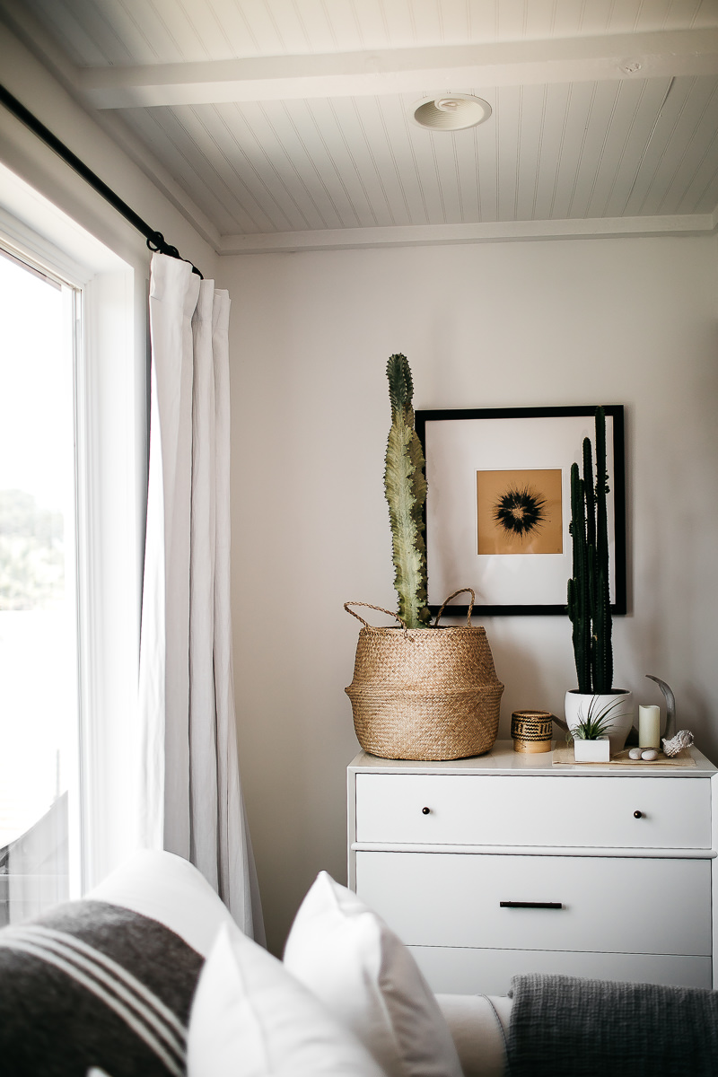 sebastopol-ca-summer-wedding-4