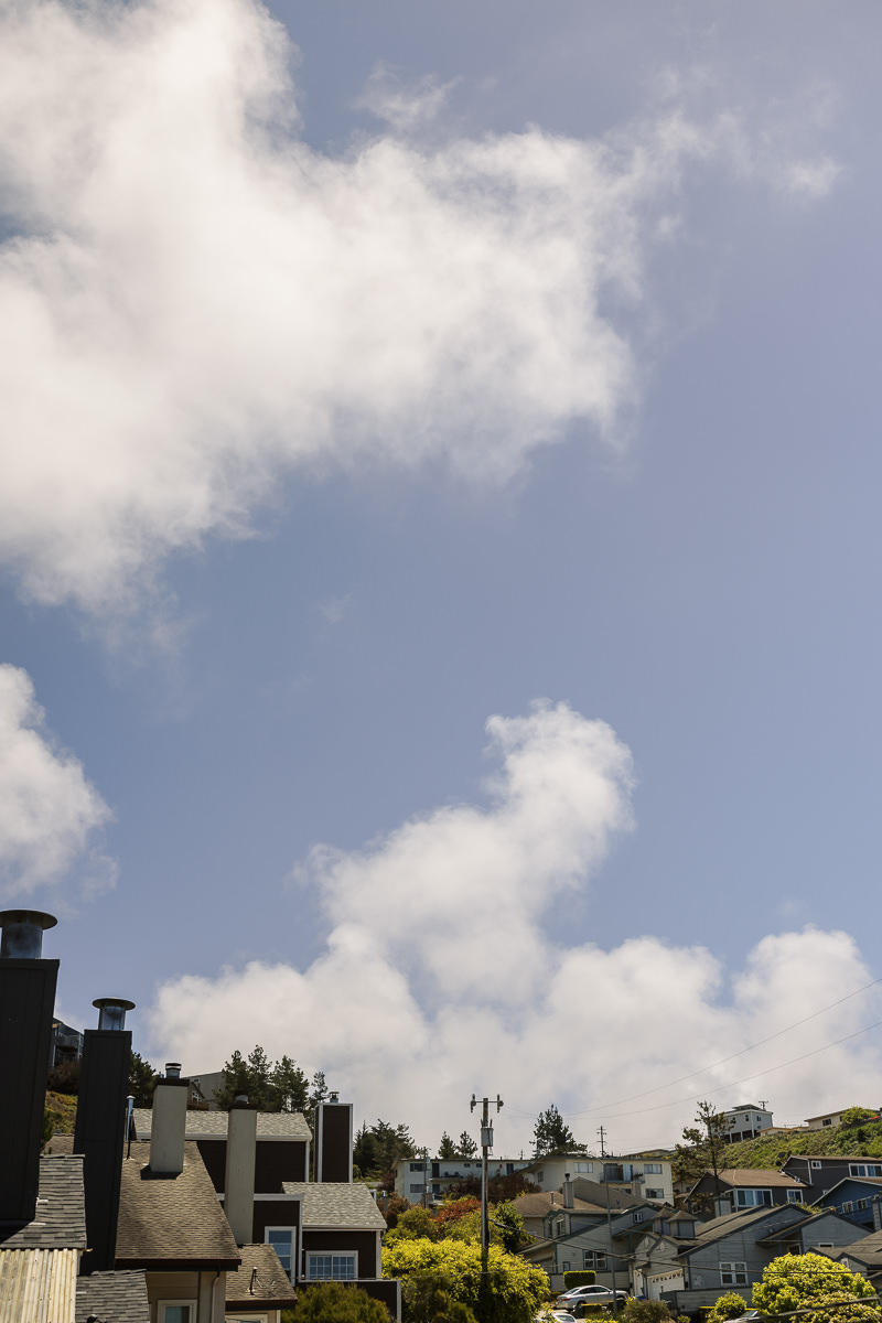 Pacifica-shelldance-orchid-gardens-summer-wedding-2