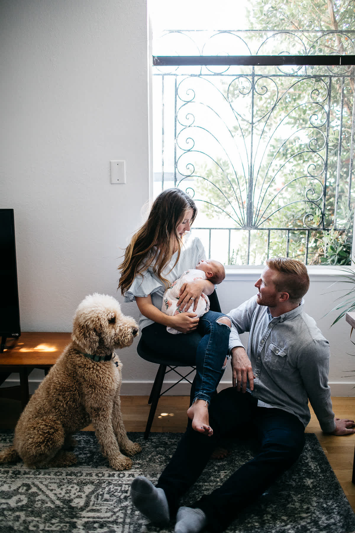 san-francisco-lifestyle-in-home-newborn-with-dog-38
