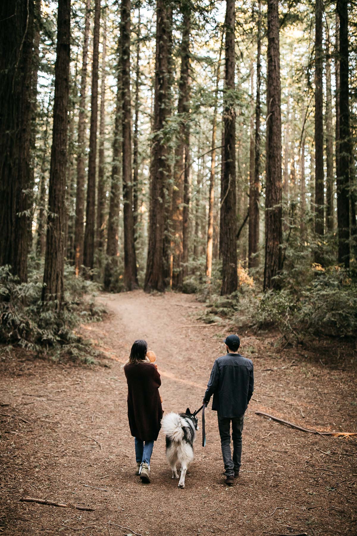 oakland-redwood-family-fall-session-joaquin-miller-park-39