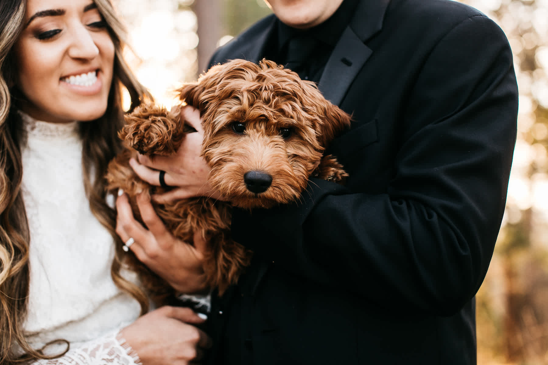 yosemite-rush-creek-fall-wedding-goldendoodle-73