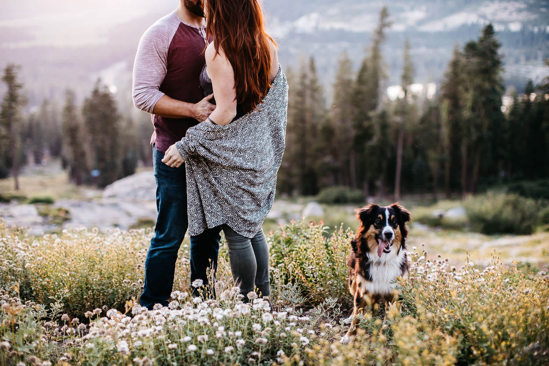 lake-tahoe-forest-donner-sunset-couple-session-13