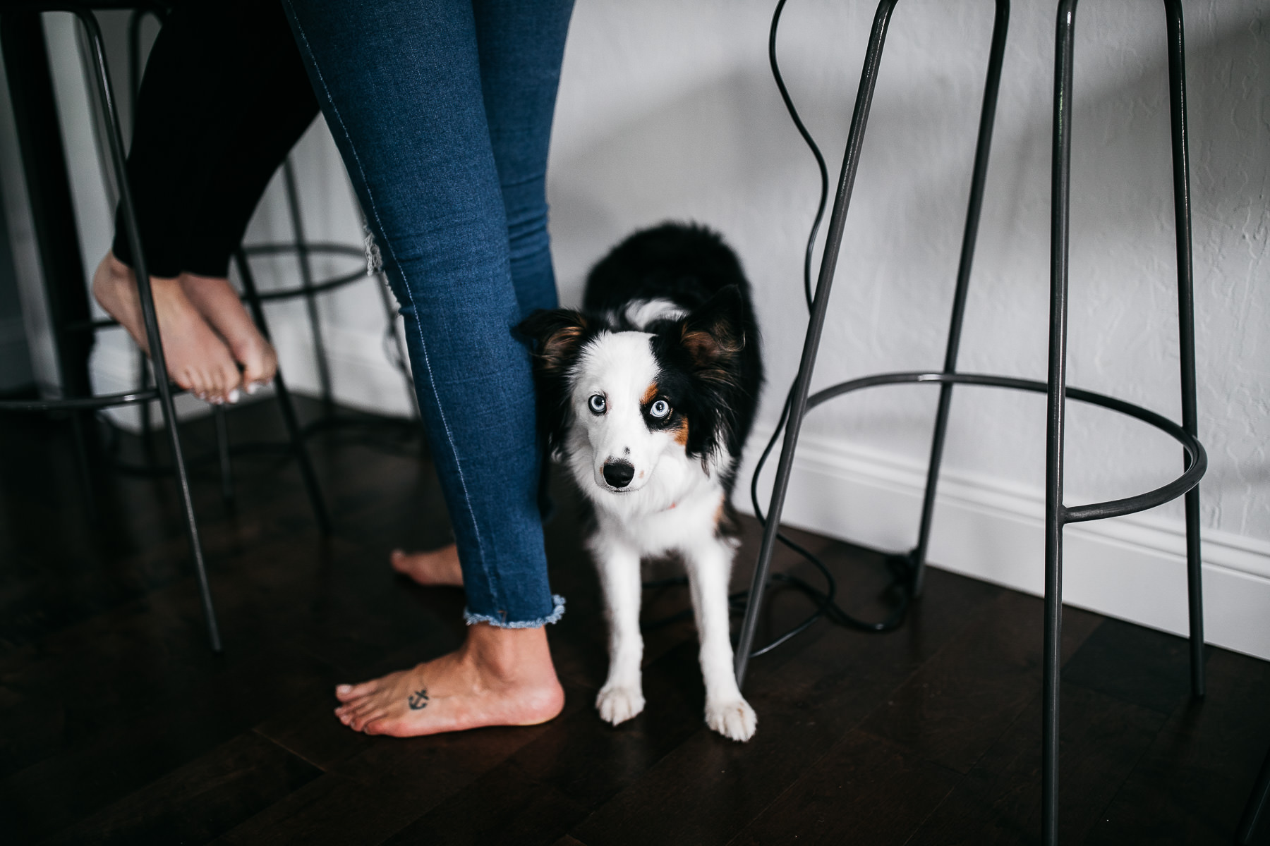 nestldown-micro-wedding-elopement-santa-cruz-sunset-3