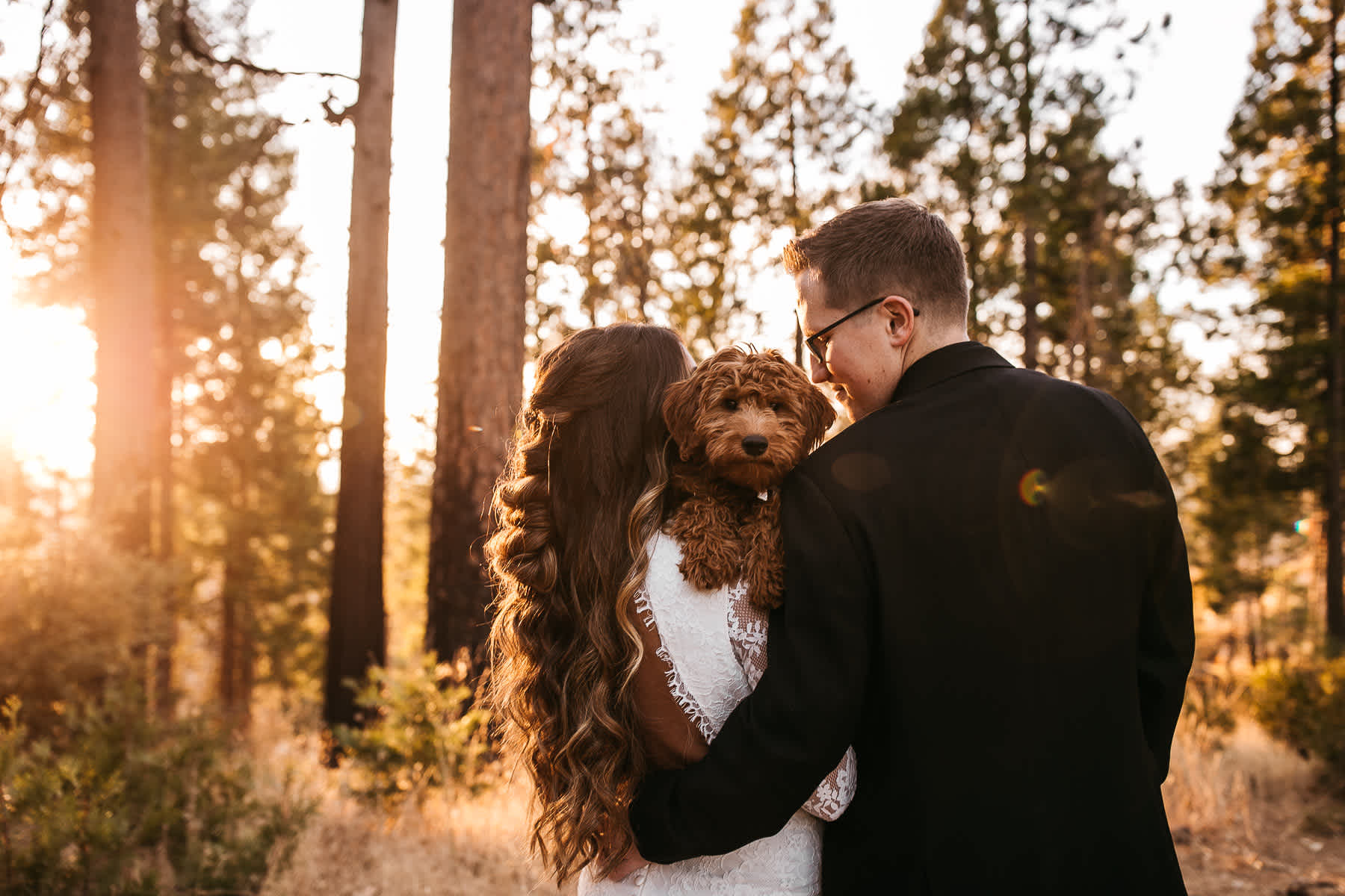 yosemite-rush-creek-fall-wedding-goldendoodle-79