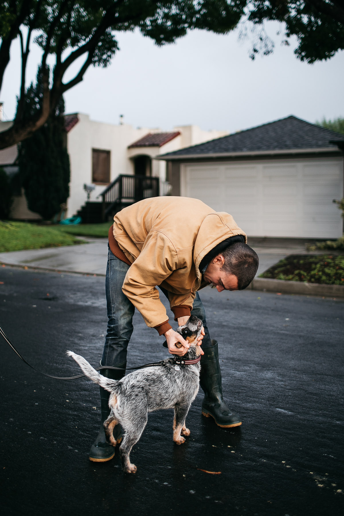 richmond-ca-family-session-cattledog-neighborhood-7