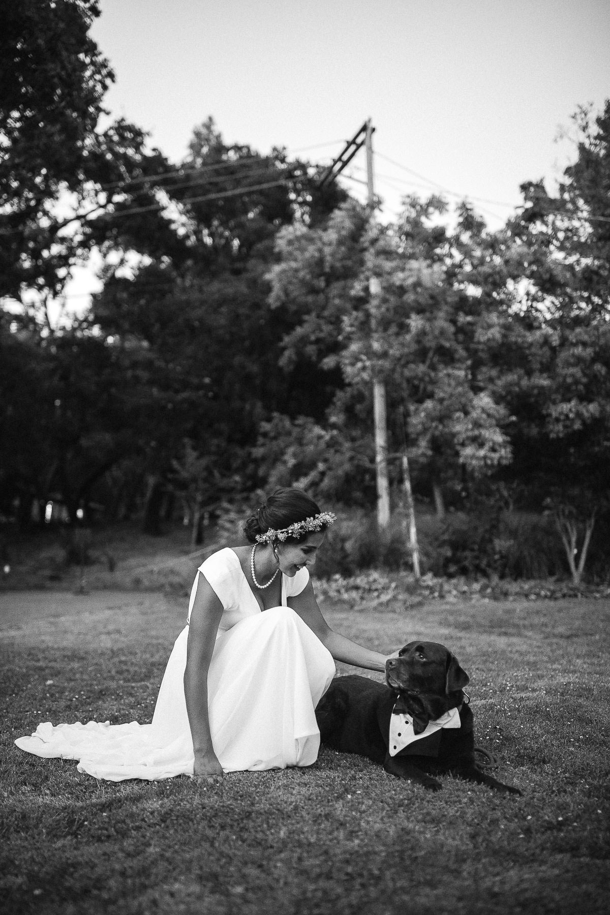 marin-art-and-garden-center-summer-wedding-fusion-72