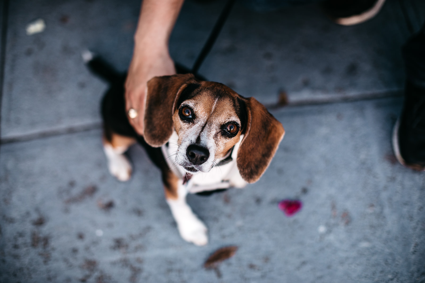 potrero-hill-fort-funston-engagement-session-7
