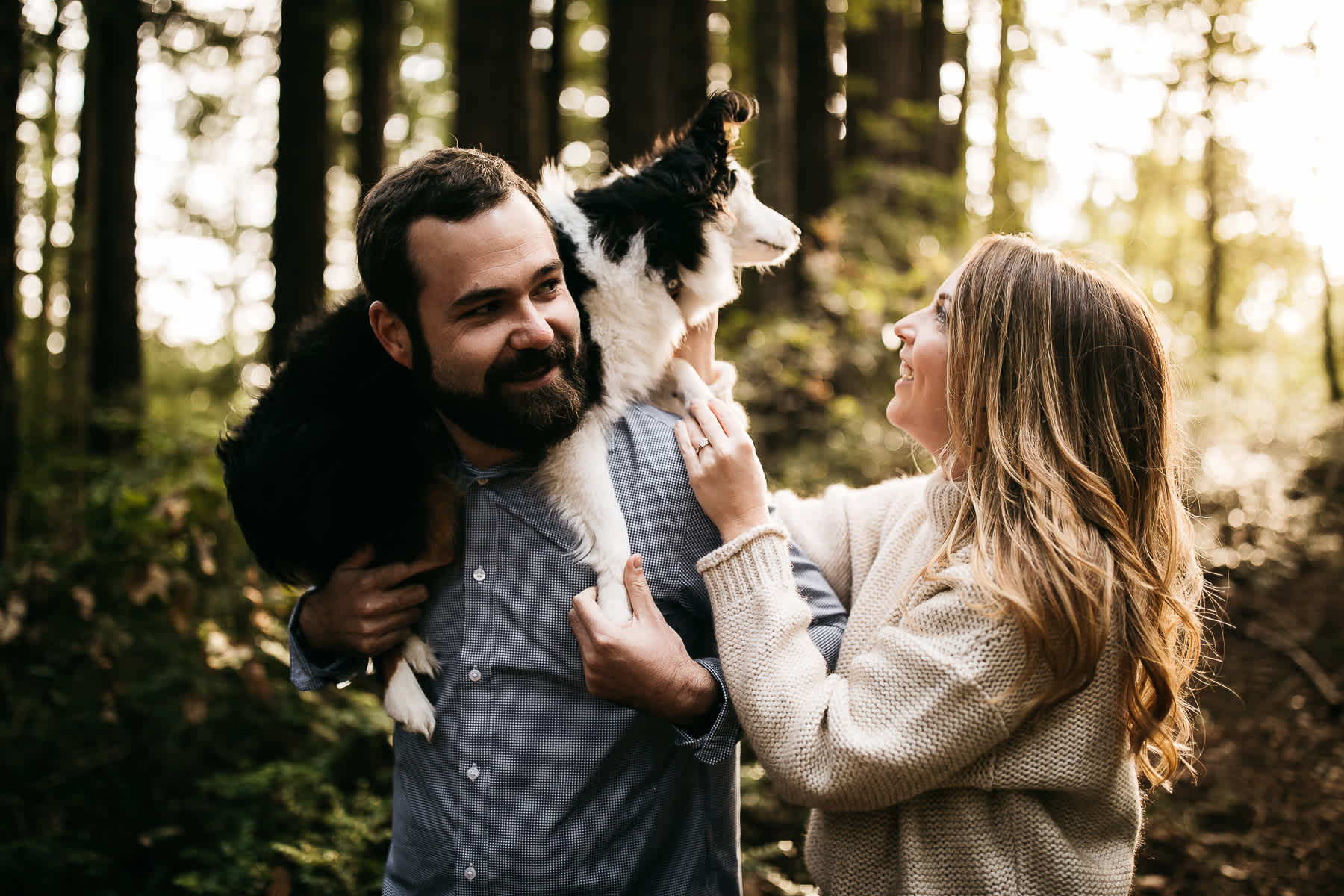 mt-tam-foggy-winter-engagement-session-australian-shepherd-puppy-5