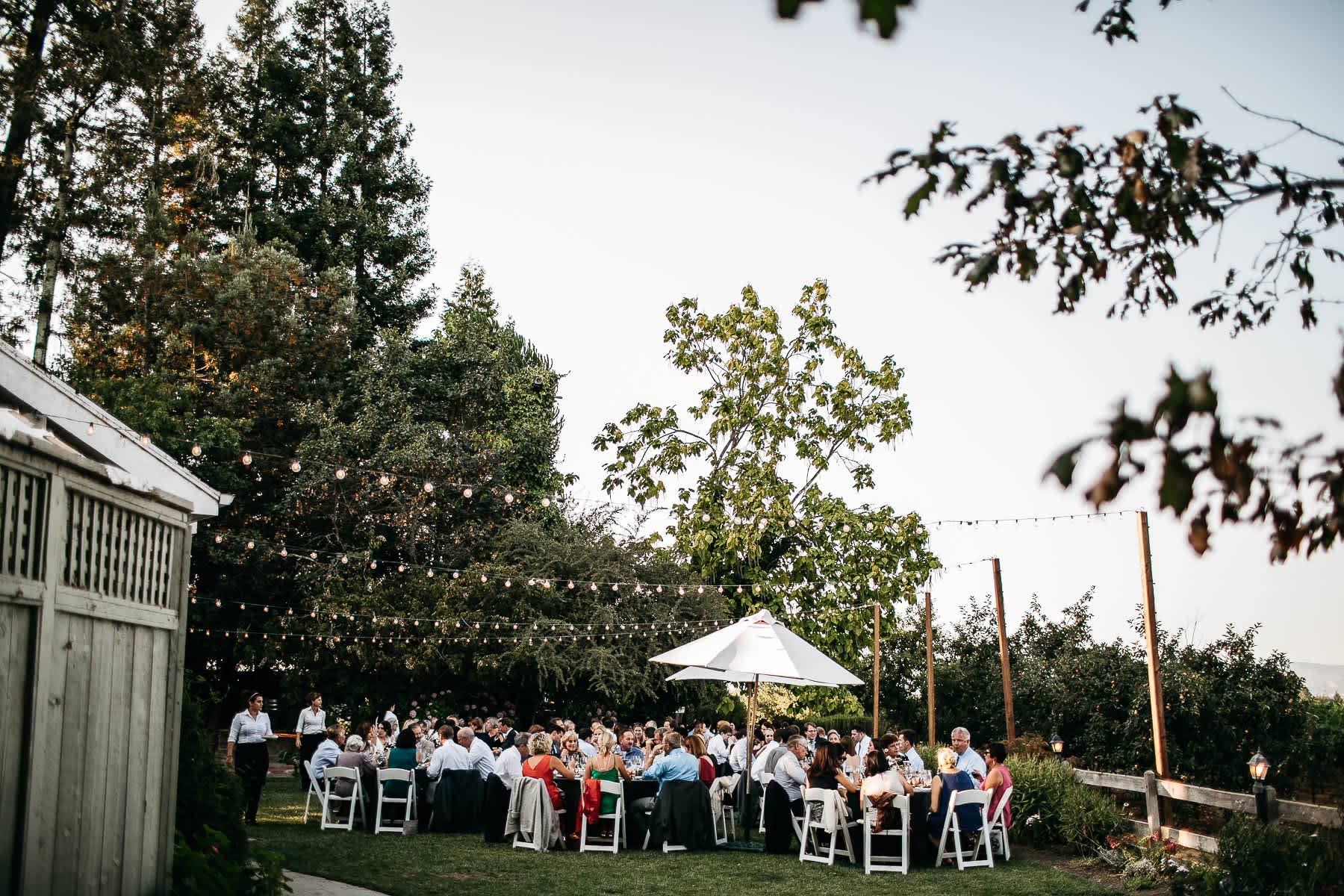 sebastopol-ca-summer-wedding-104