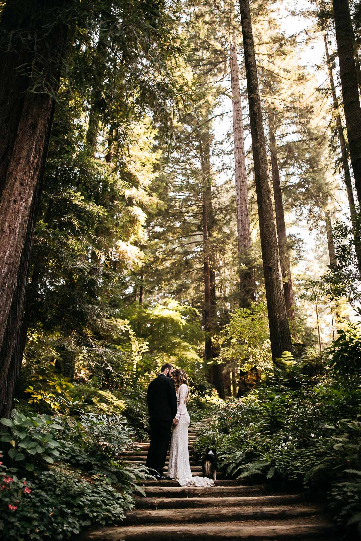 nestldown-micro-wedding-elopement-santa-cruz-sunset-77