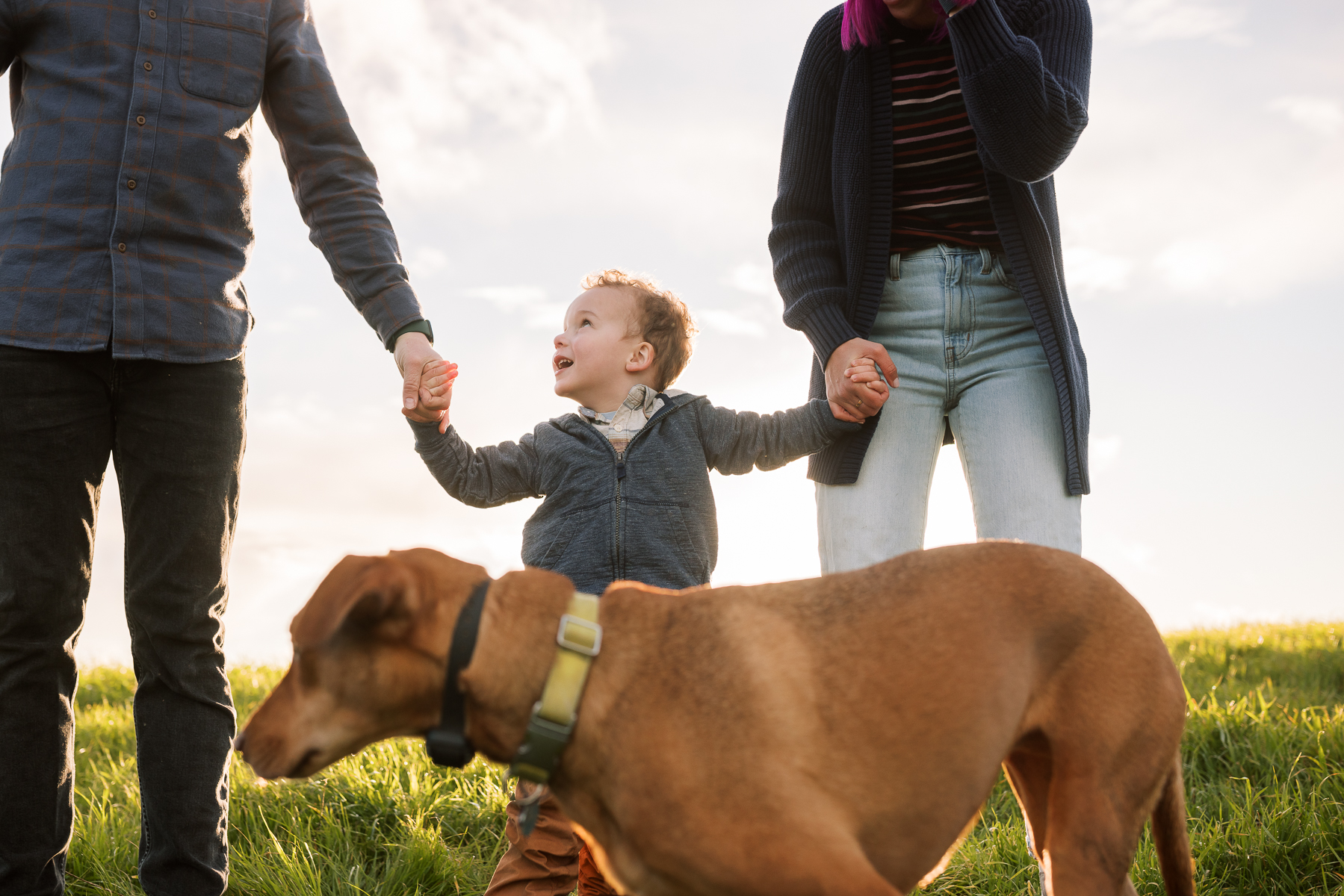 oakland-green-hills-winter-family-lifestyle-session-72