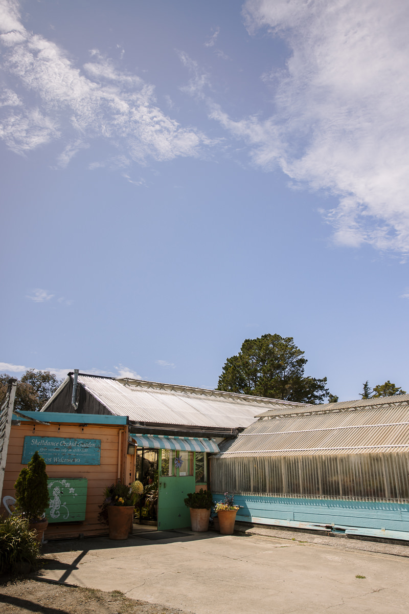 Pacifica-shelldance-orchid-gardens-summer-wedding-57