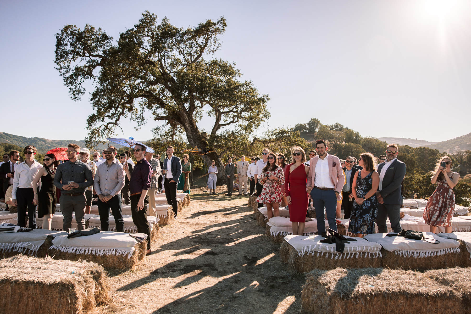 Monkey-ranch-petaluma-golden-hills-wedding-56